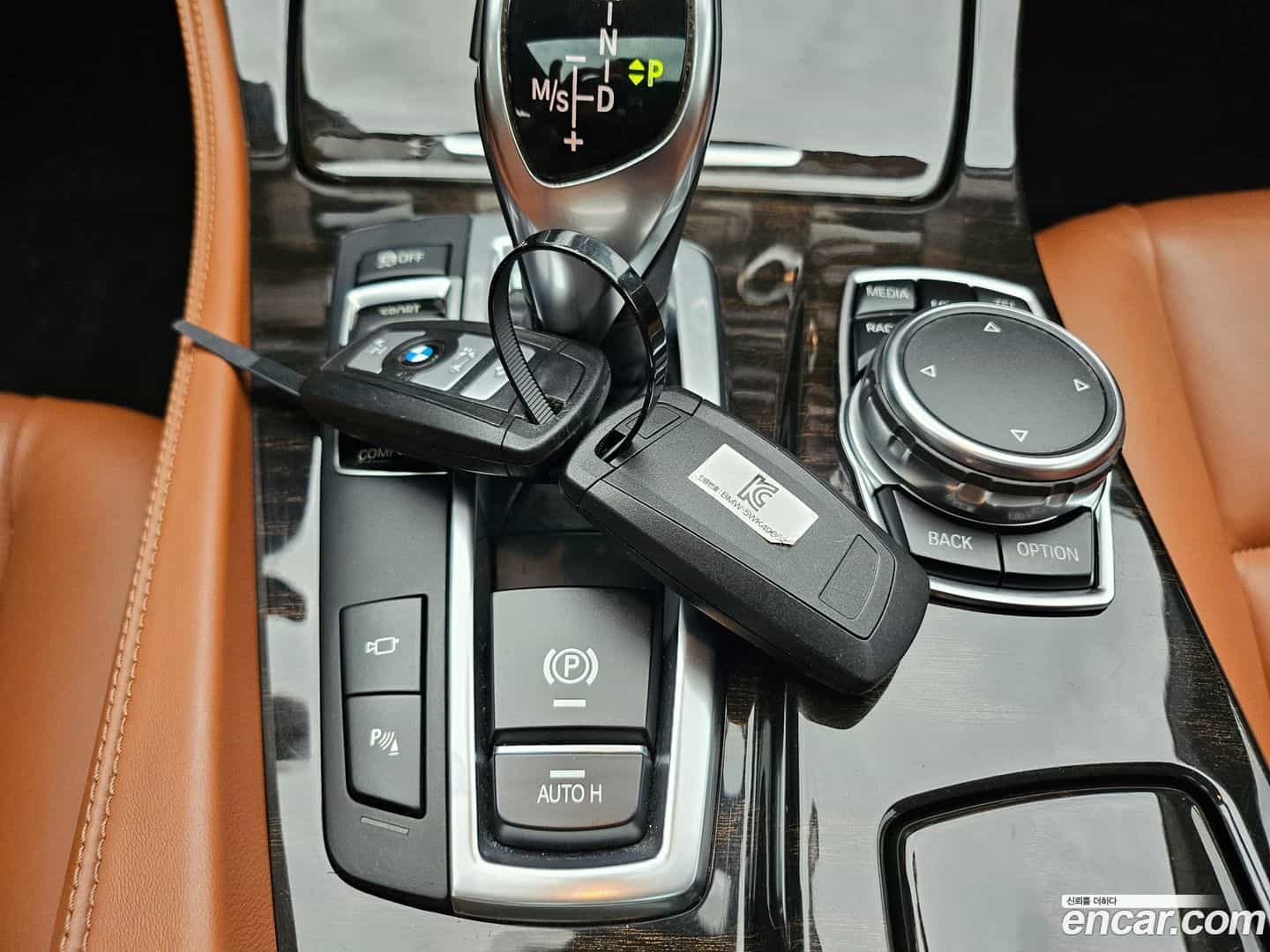 5-Series BMW 2016.10-OPTION-022