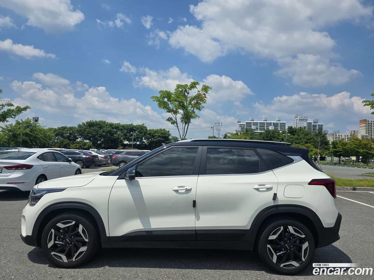 Seltos Kia 2023.3-OPTION-020
