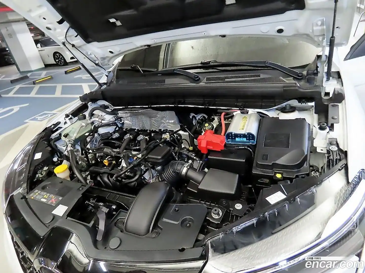 XM3 Renault Korea 2023.1-OPTION-023