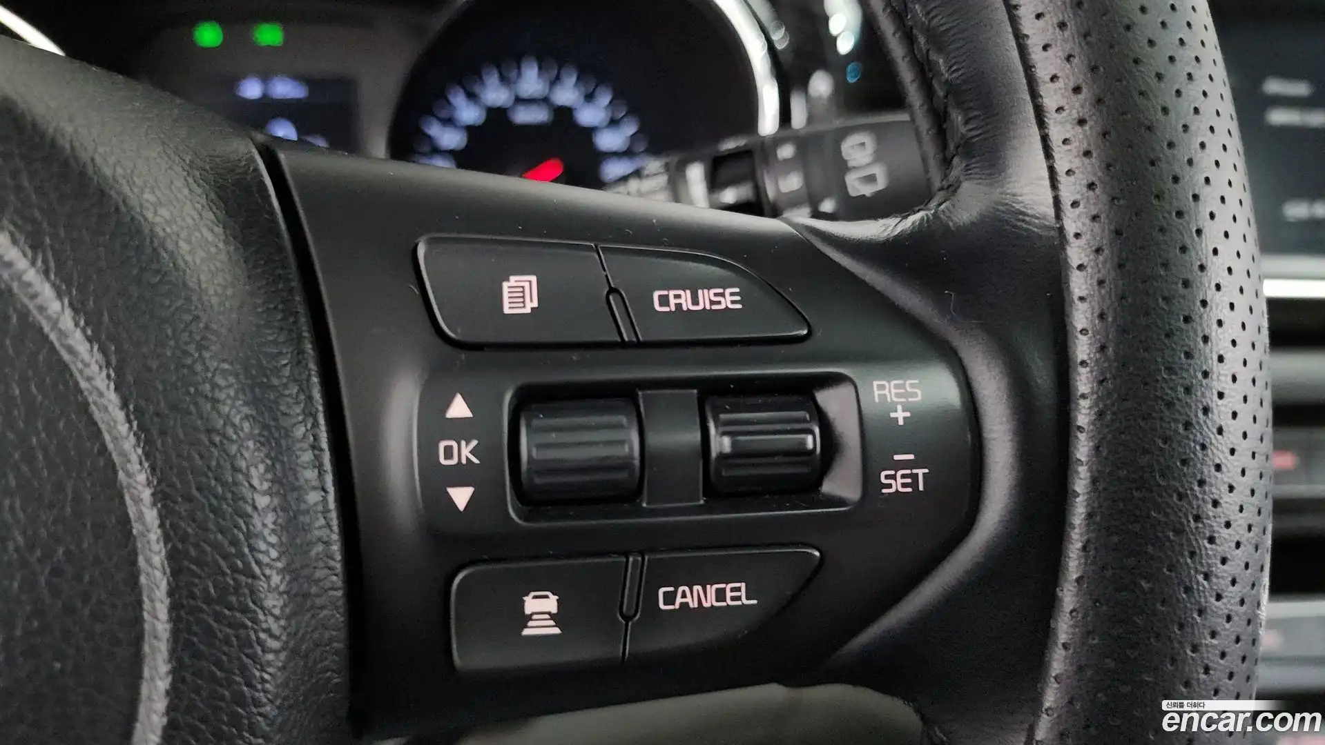 Canival Kia 2018.9-OPTION-020