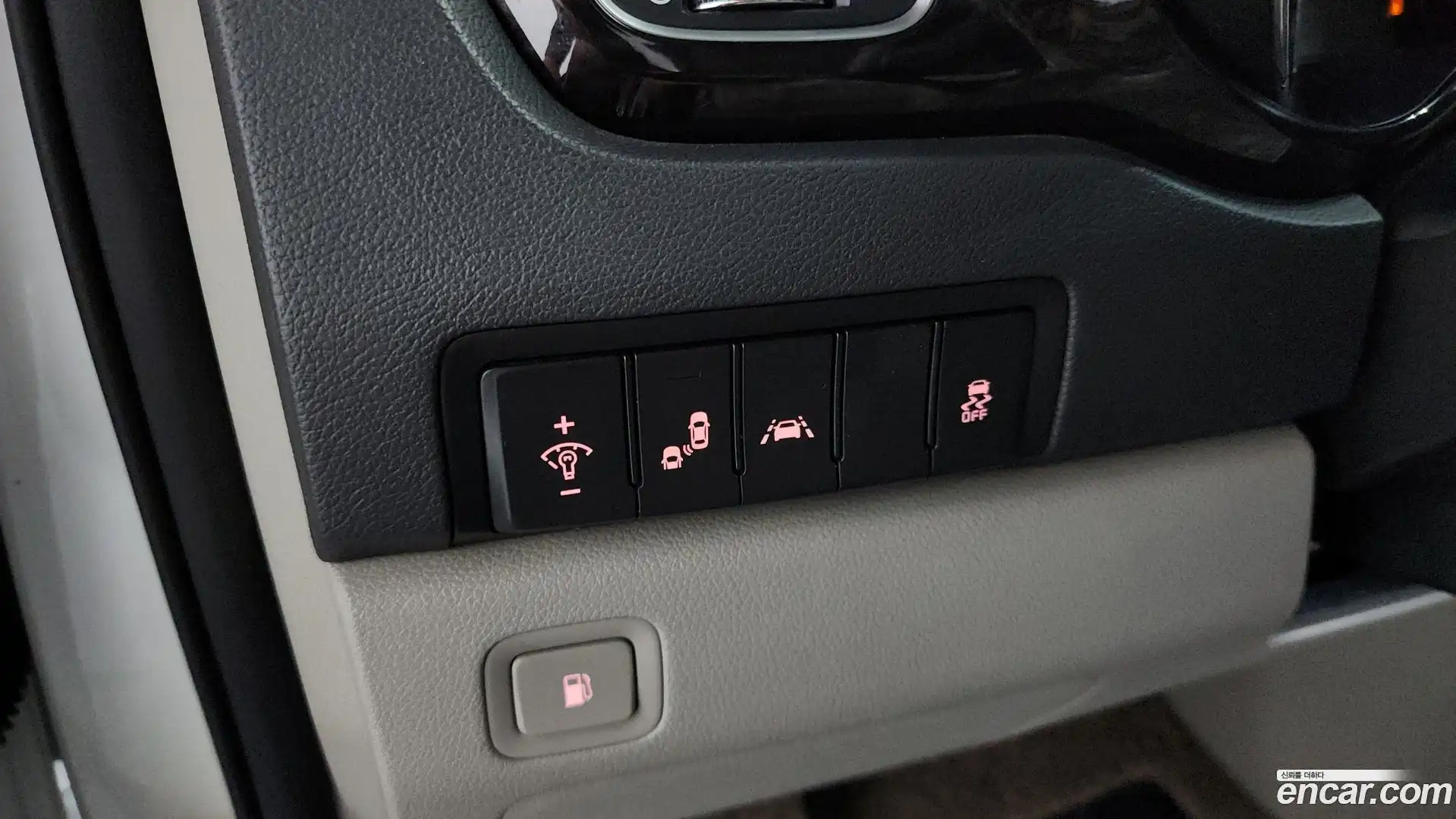 Canival Kia 2018.9-OPTION-043