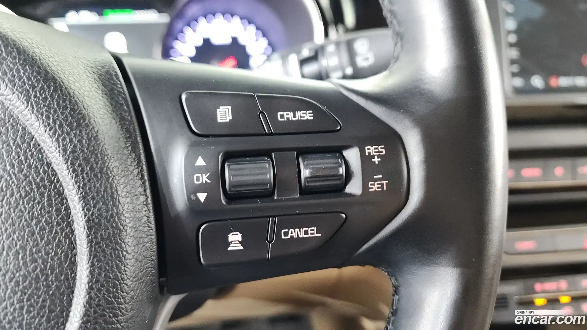 Canival Kia 2018.8-OPTION-023
