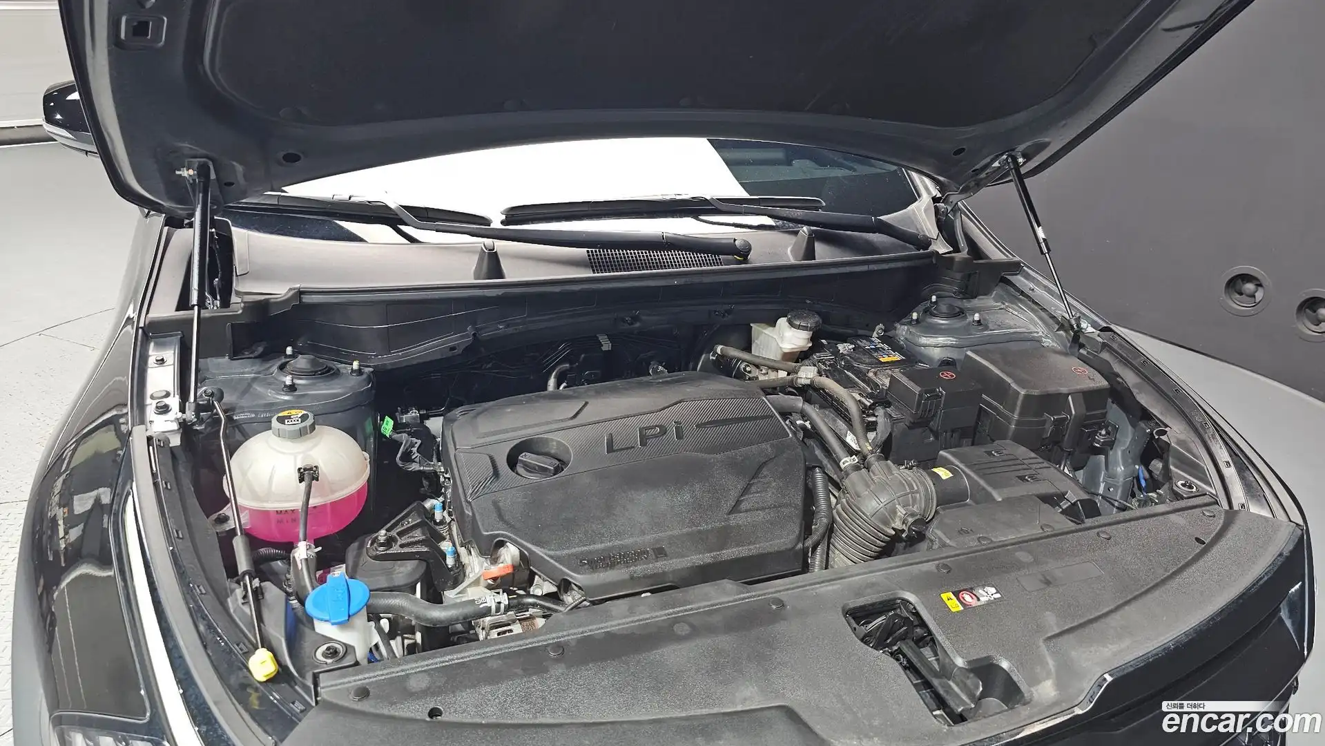 Sportage Kia 2024.1-OUTER-006