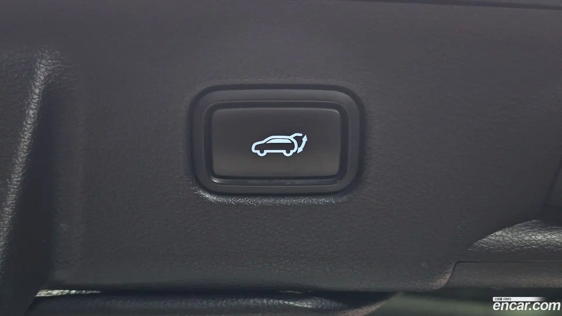 Palisade Hyundai 2020.10-OPTION-023