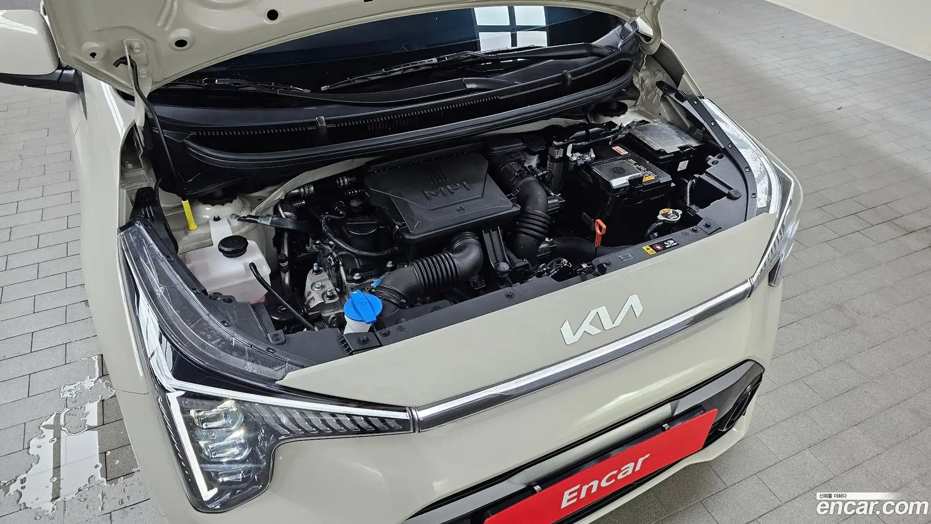 morning Kia 2025.1-OUTER-006