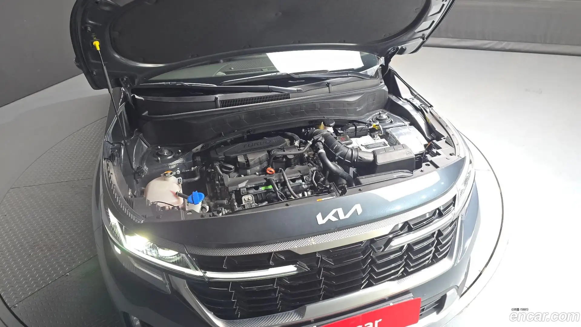 Seltos Kia 2024.7-OUTER-006