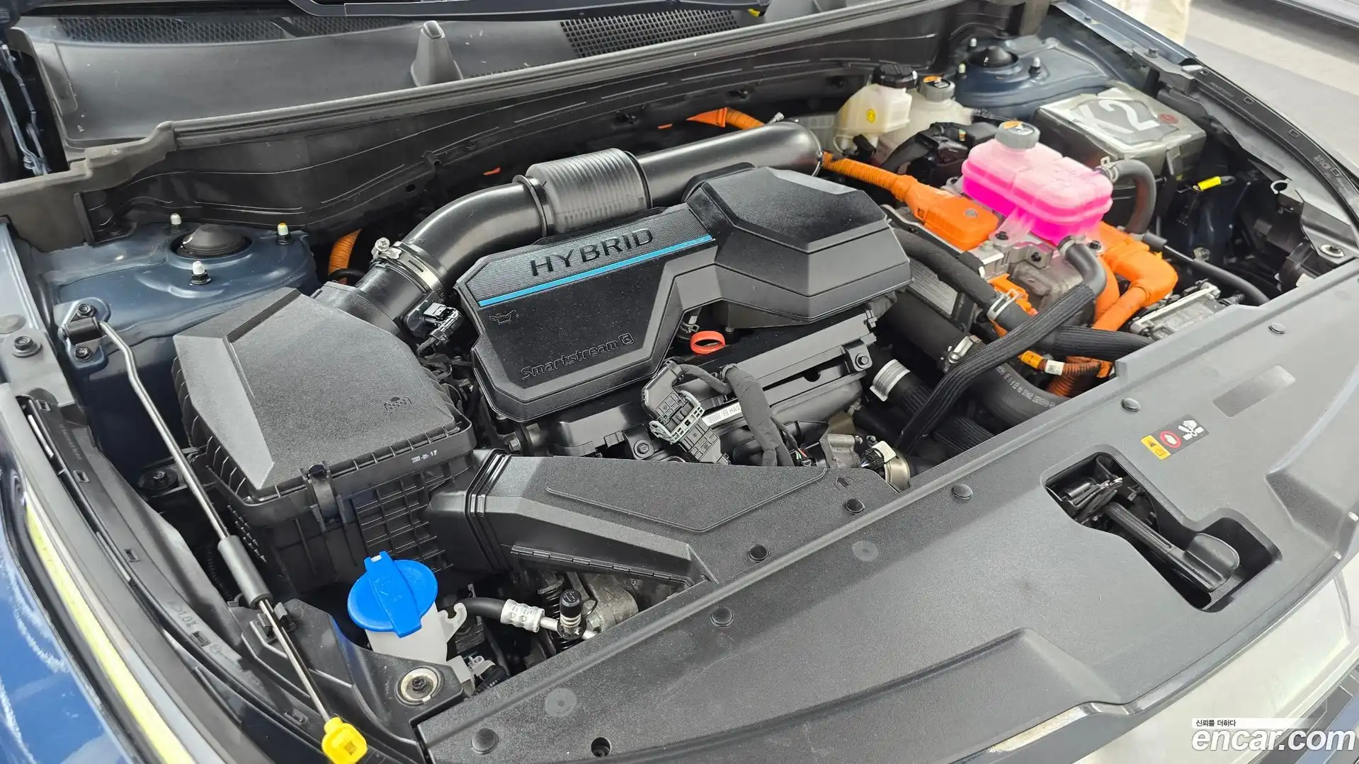 Sportage Kia 2023.1-OUTER-006