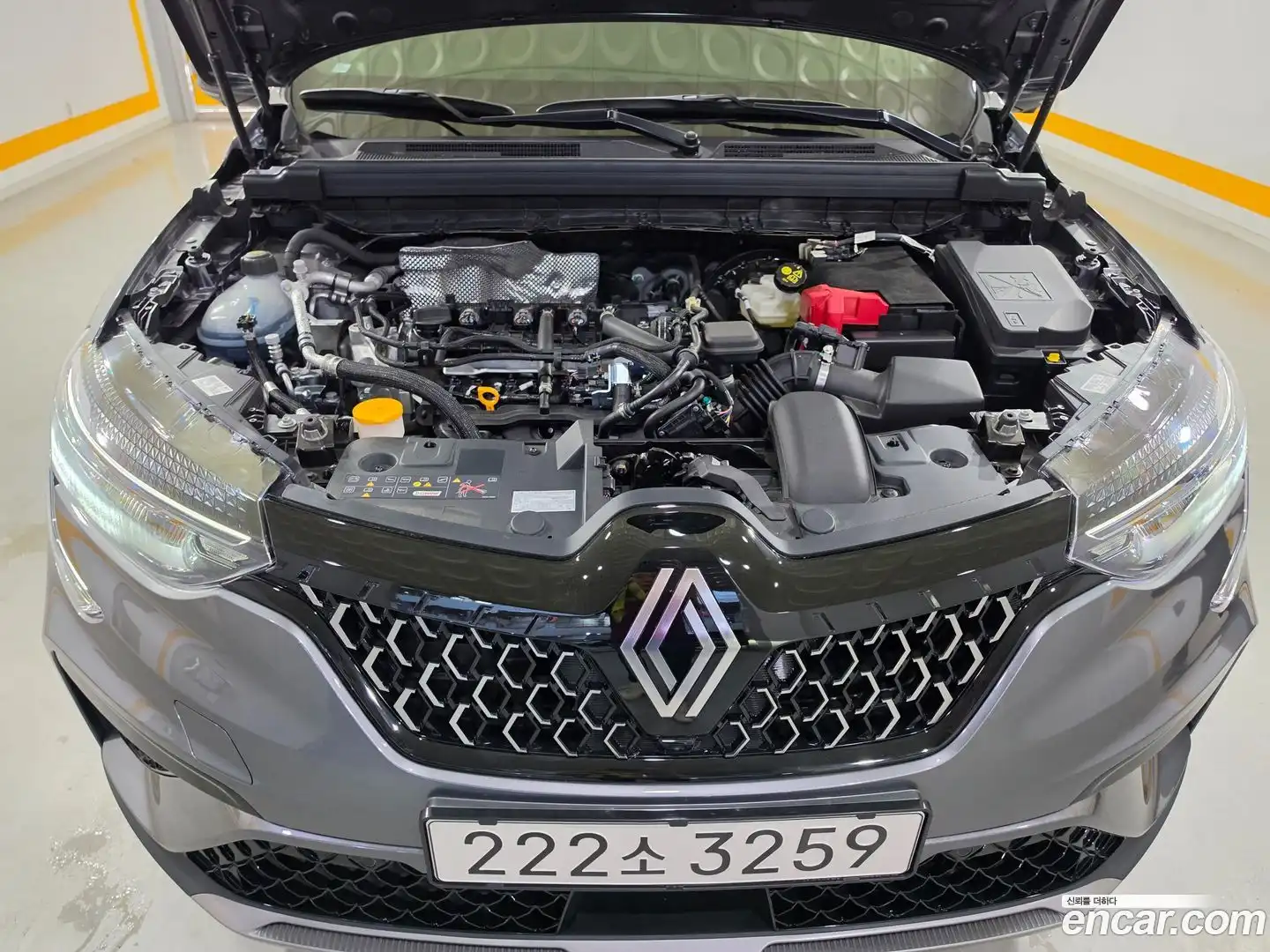 Arkana Renault Korea 2026.0-OPTION-024
