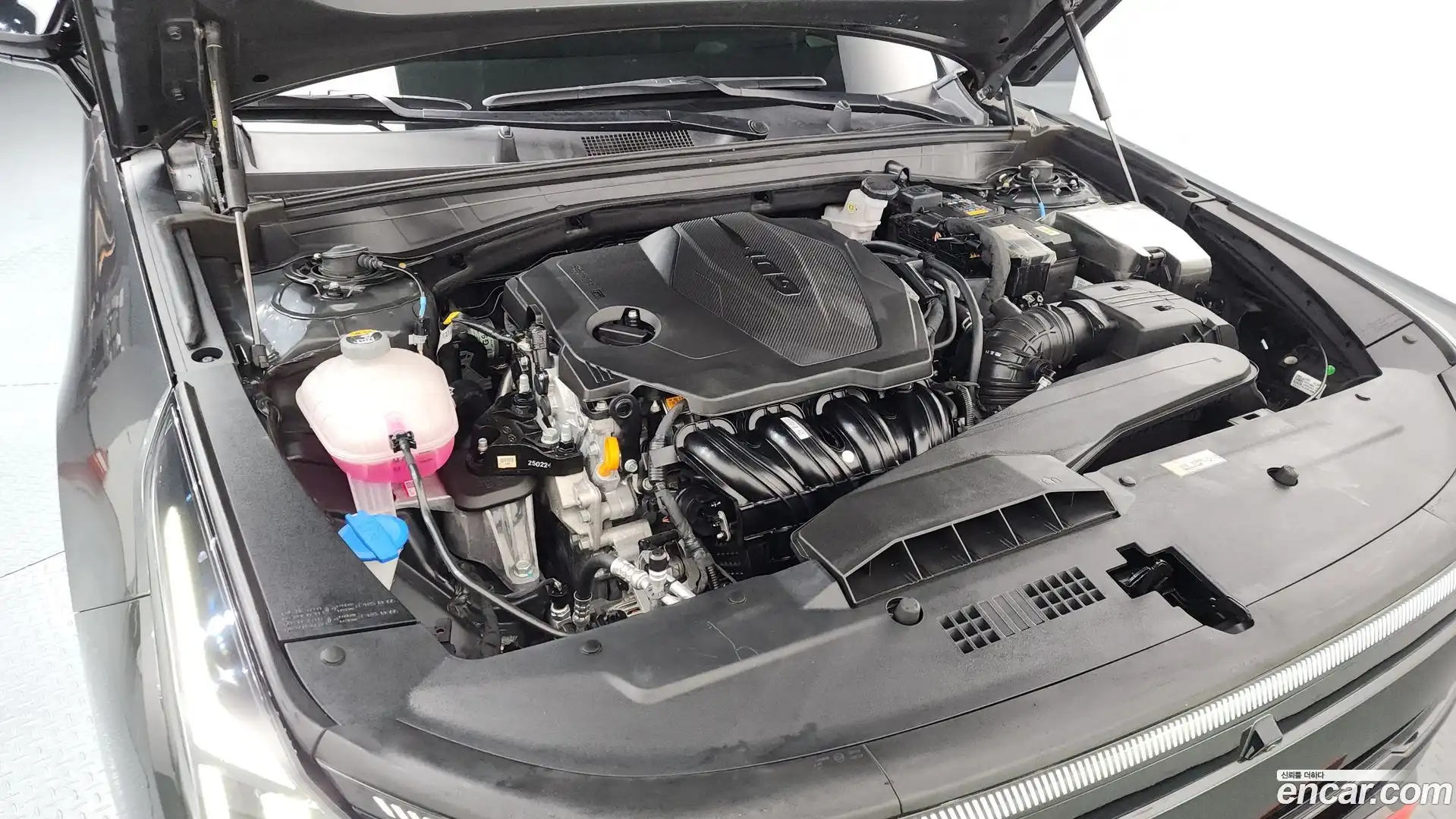 K8 Kia 2025.2-OUTER-006