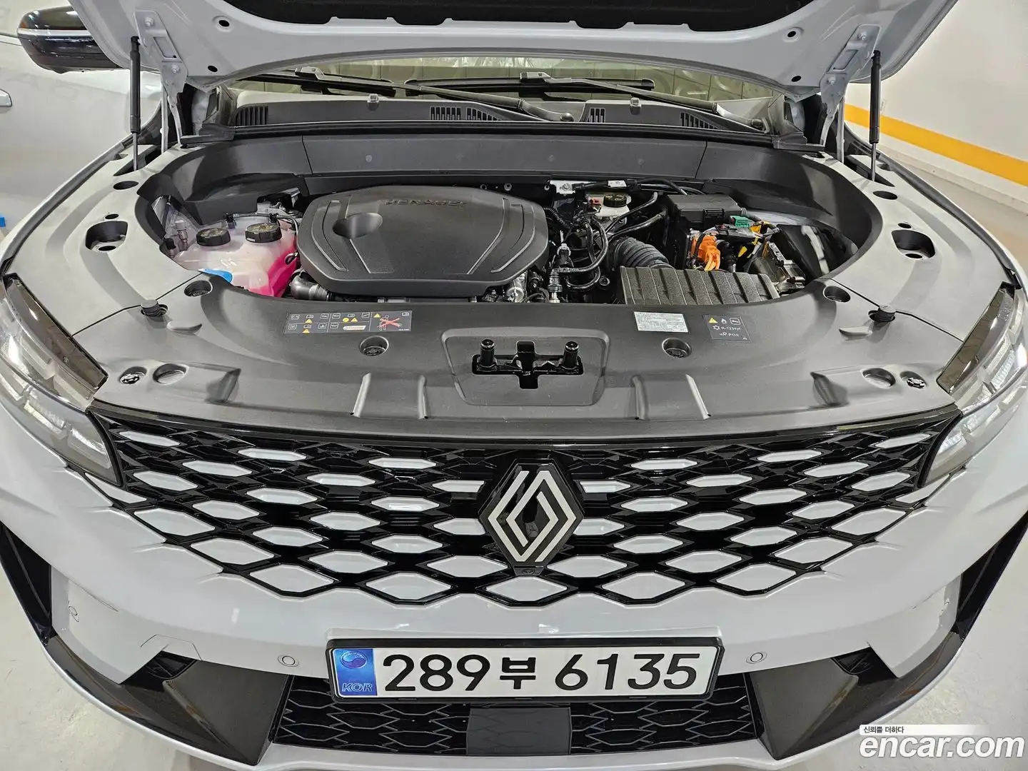 Grand Koleos Renault Korea 2025.4-OPTION-023