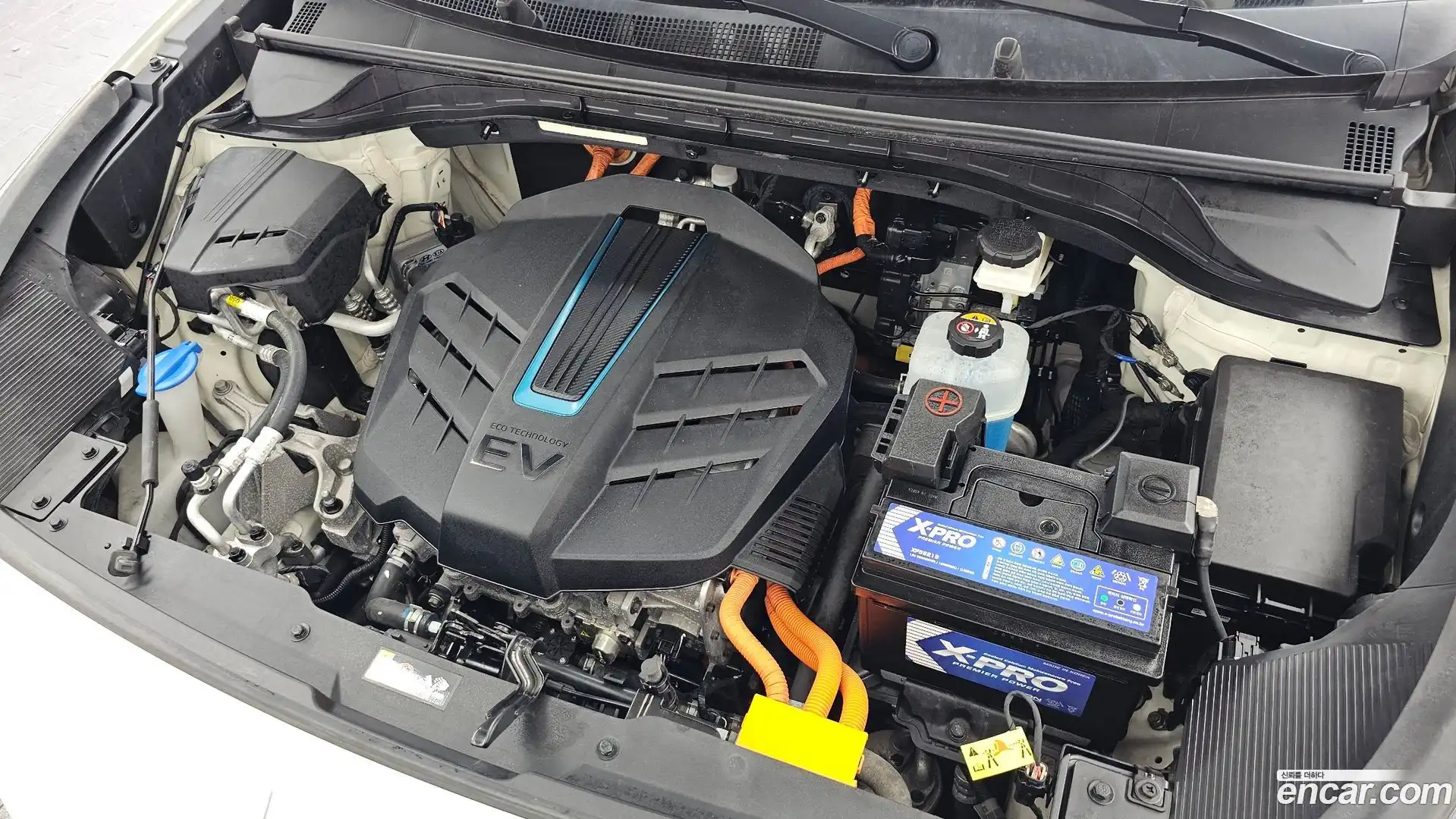 Niro Kia 2021.7-OUTER-006
