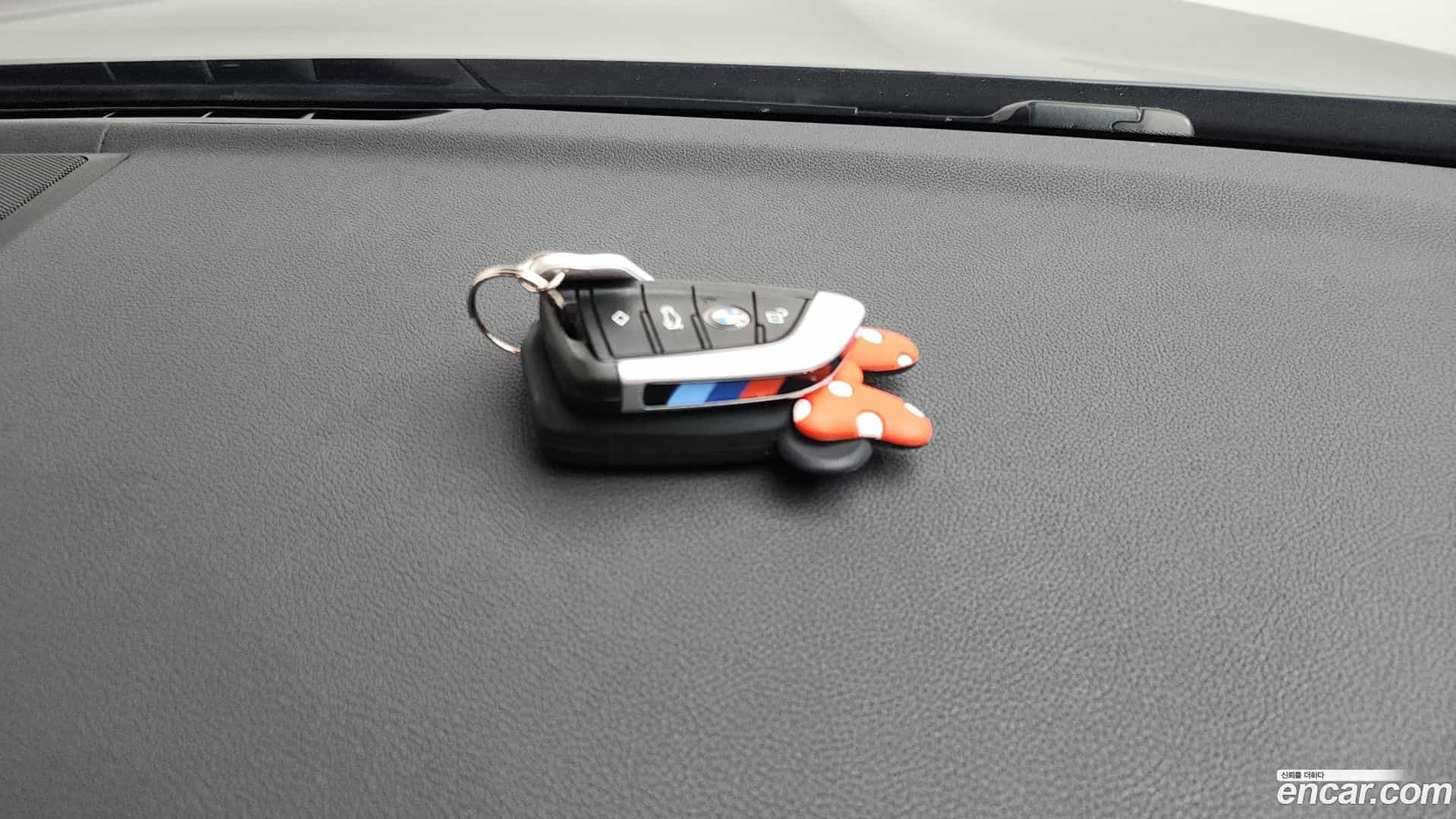 X4 BMW 2020.0-OPTION-019