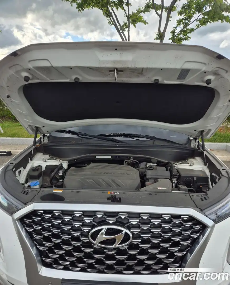Palisade Hyundai 2020.5-INNER-009
