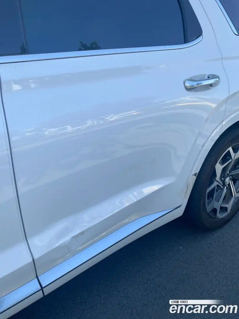 Palisade Hyundai 2020.5-OPTION-022