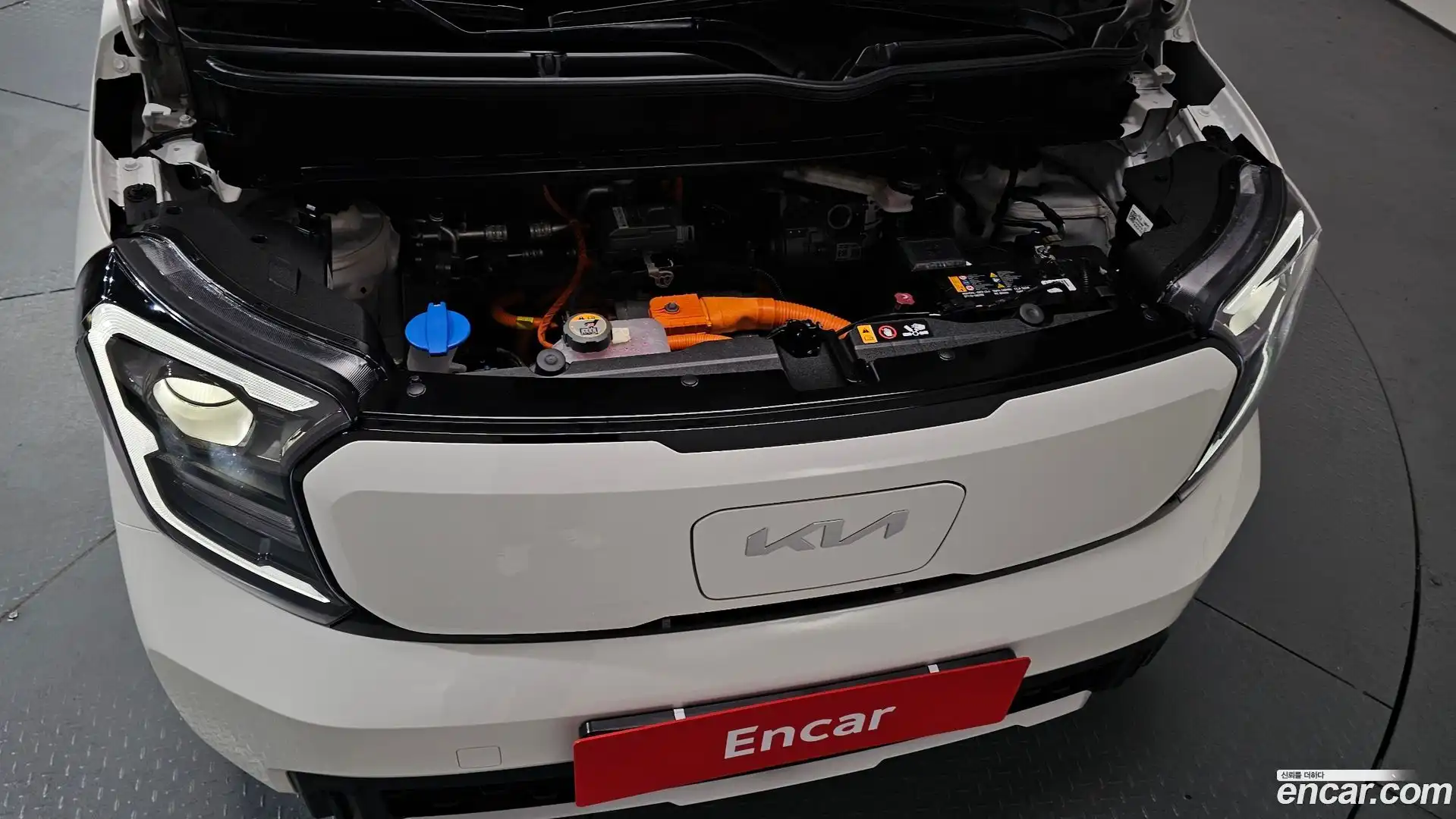 RAY Kia 2024.5-OUTER-006