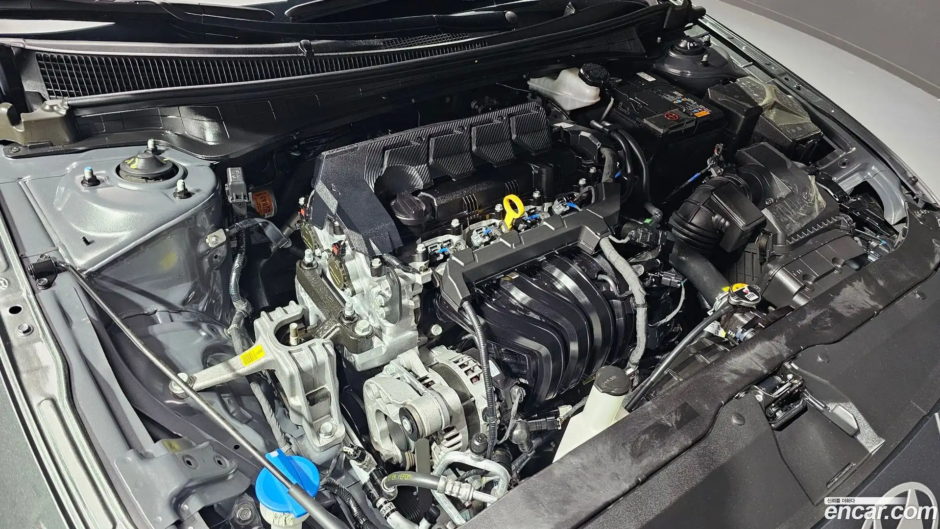 AVANTE Hyundai 2024.7-OUTER-006