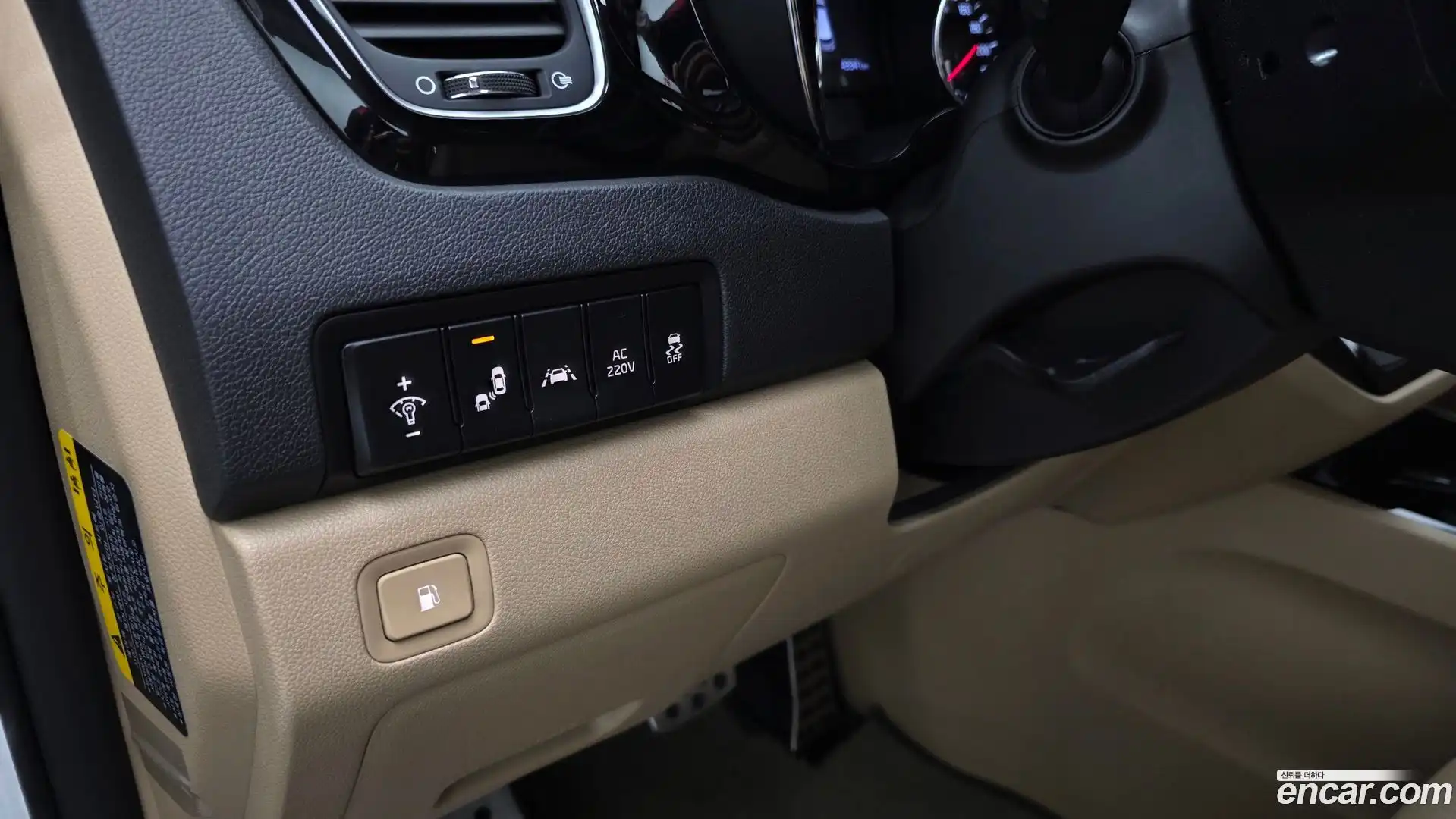 Canival Kia 2019.4-OPTION-022