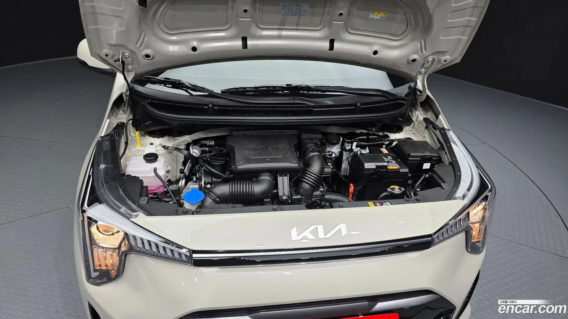 morning Kia 2025.8-OUTER-006