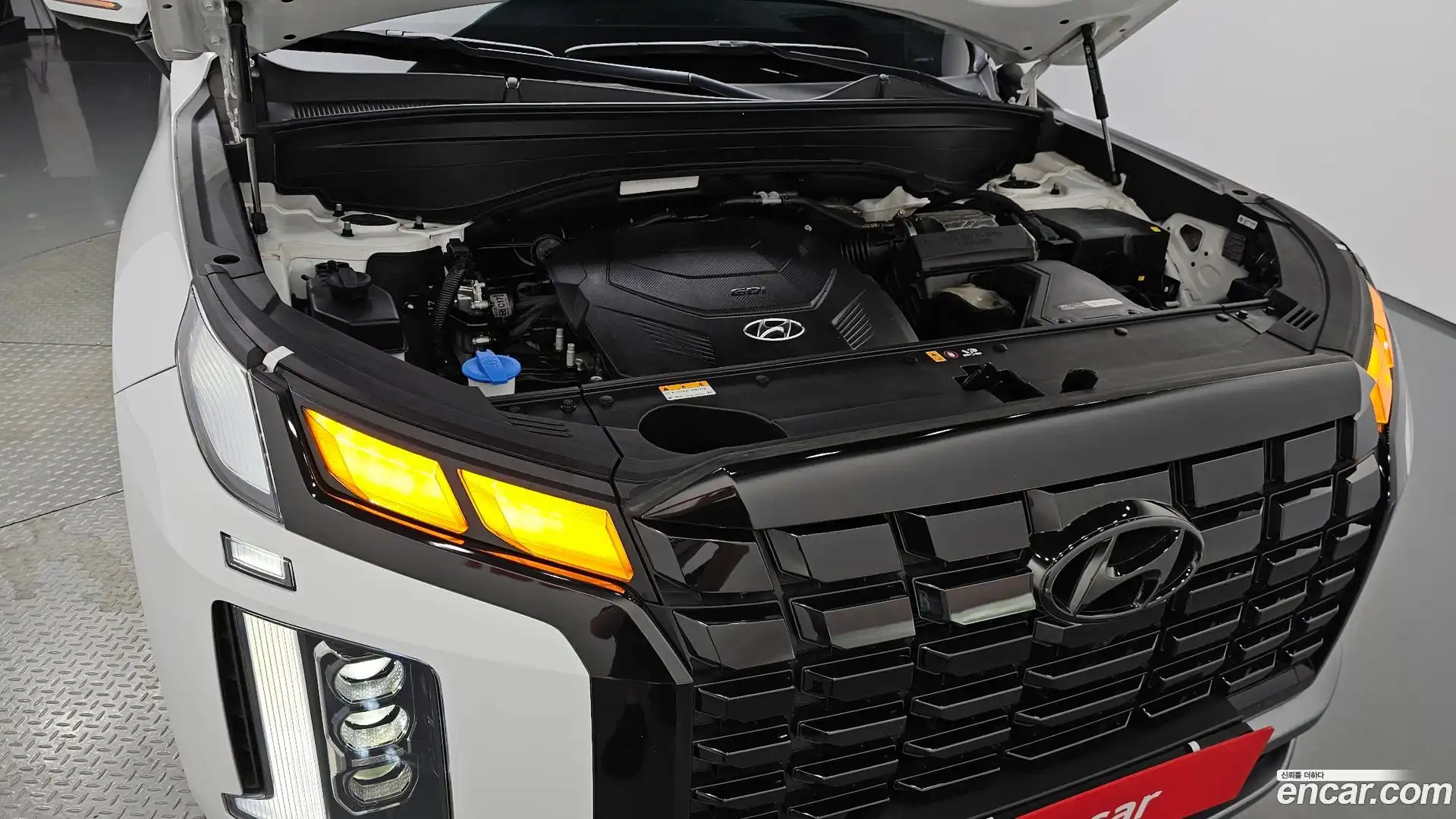 Palisade Hyundai 2024.4-OUTER-006