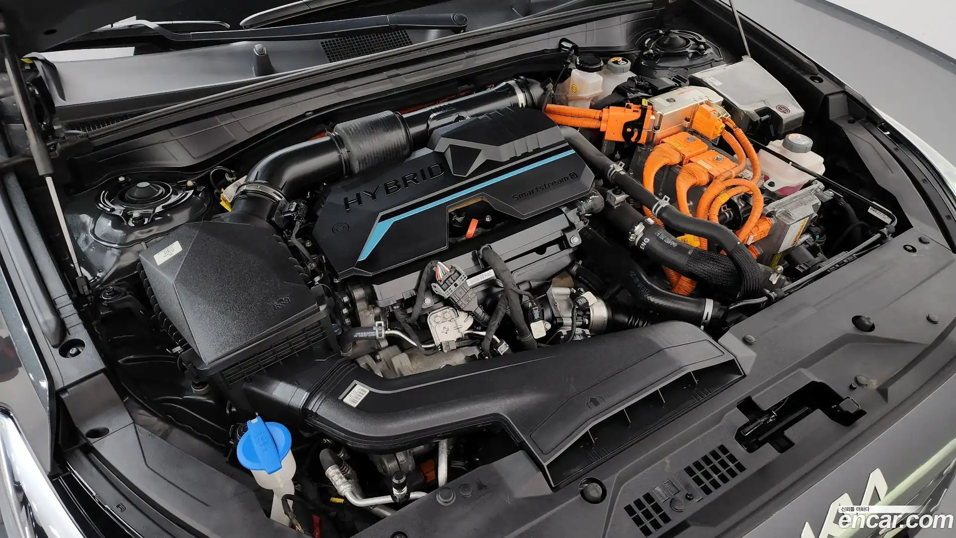 K8 Kia 2021.5-OUTER-006