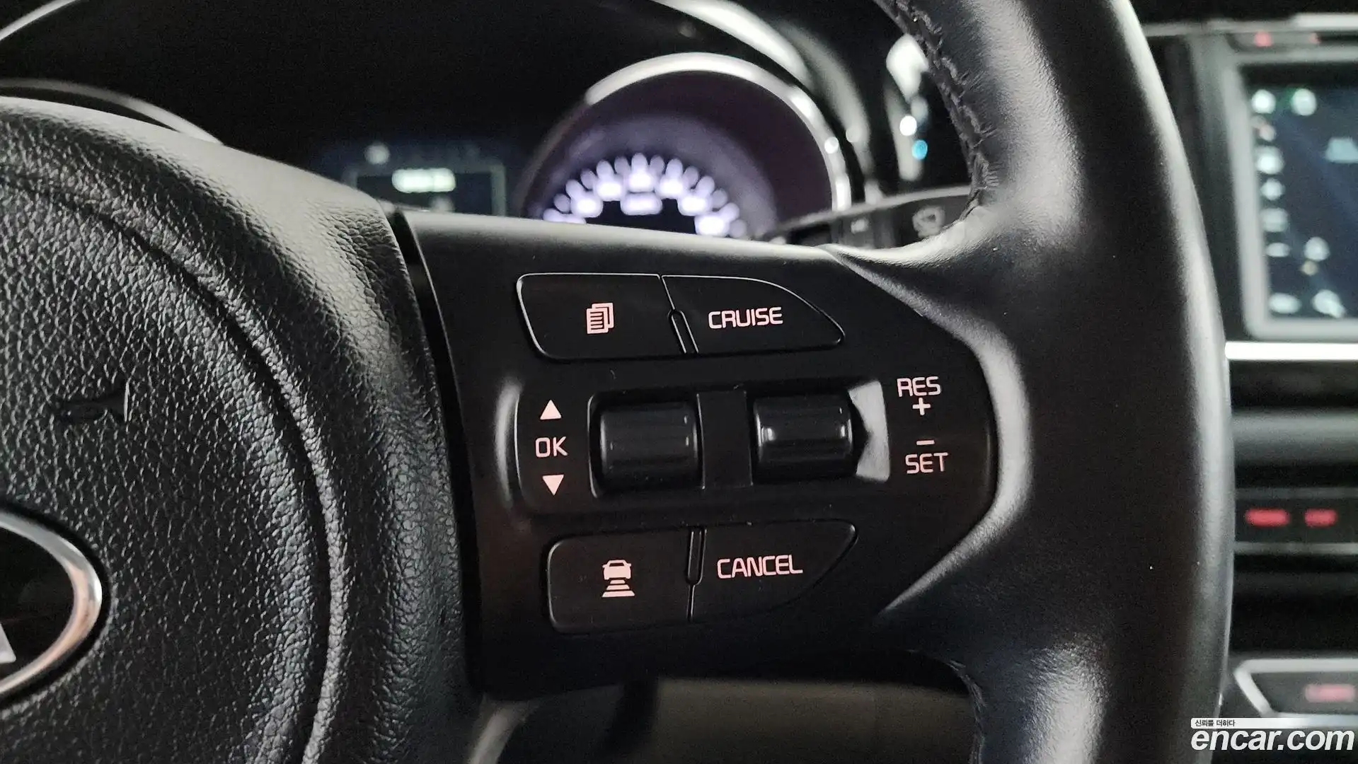 Canival Kia 2017.7-OPTION-020