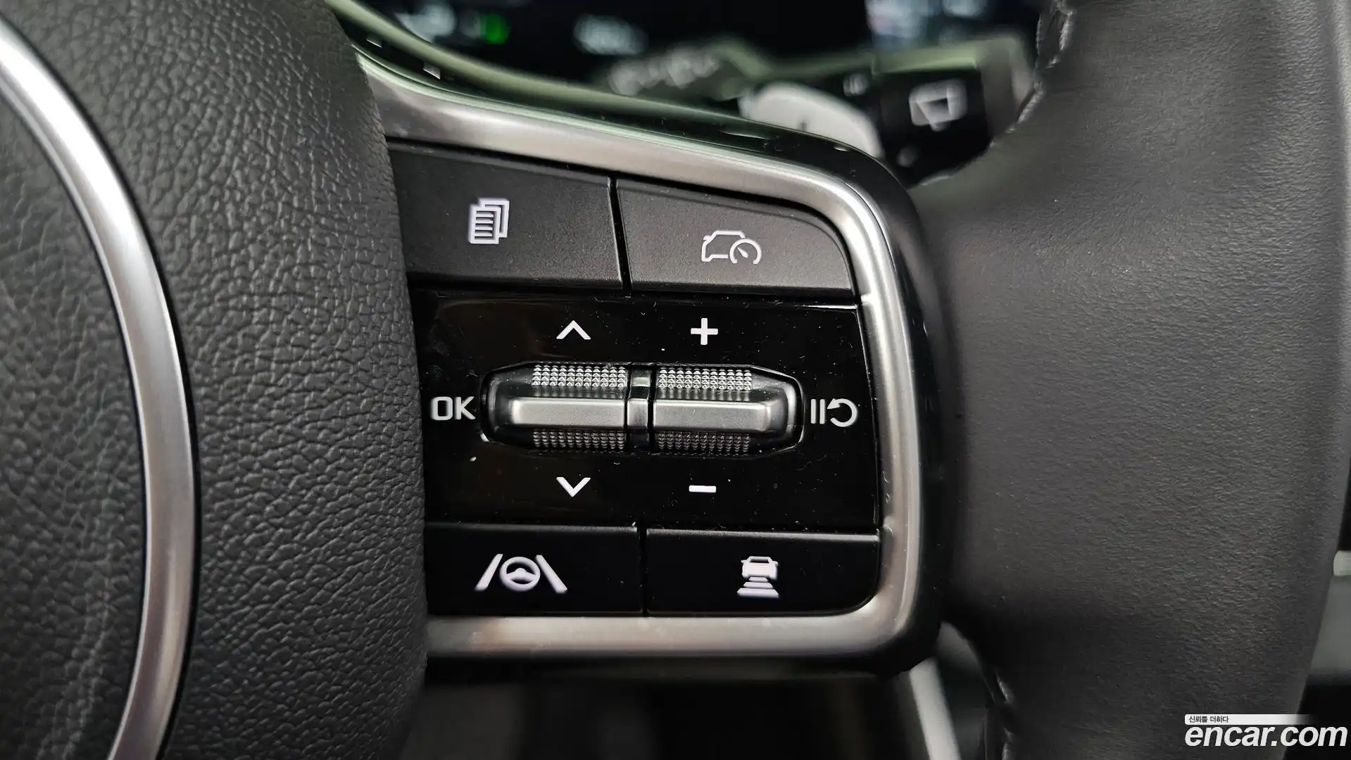 Canival Kia 2024.6-OPTION-051