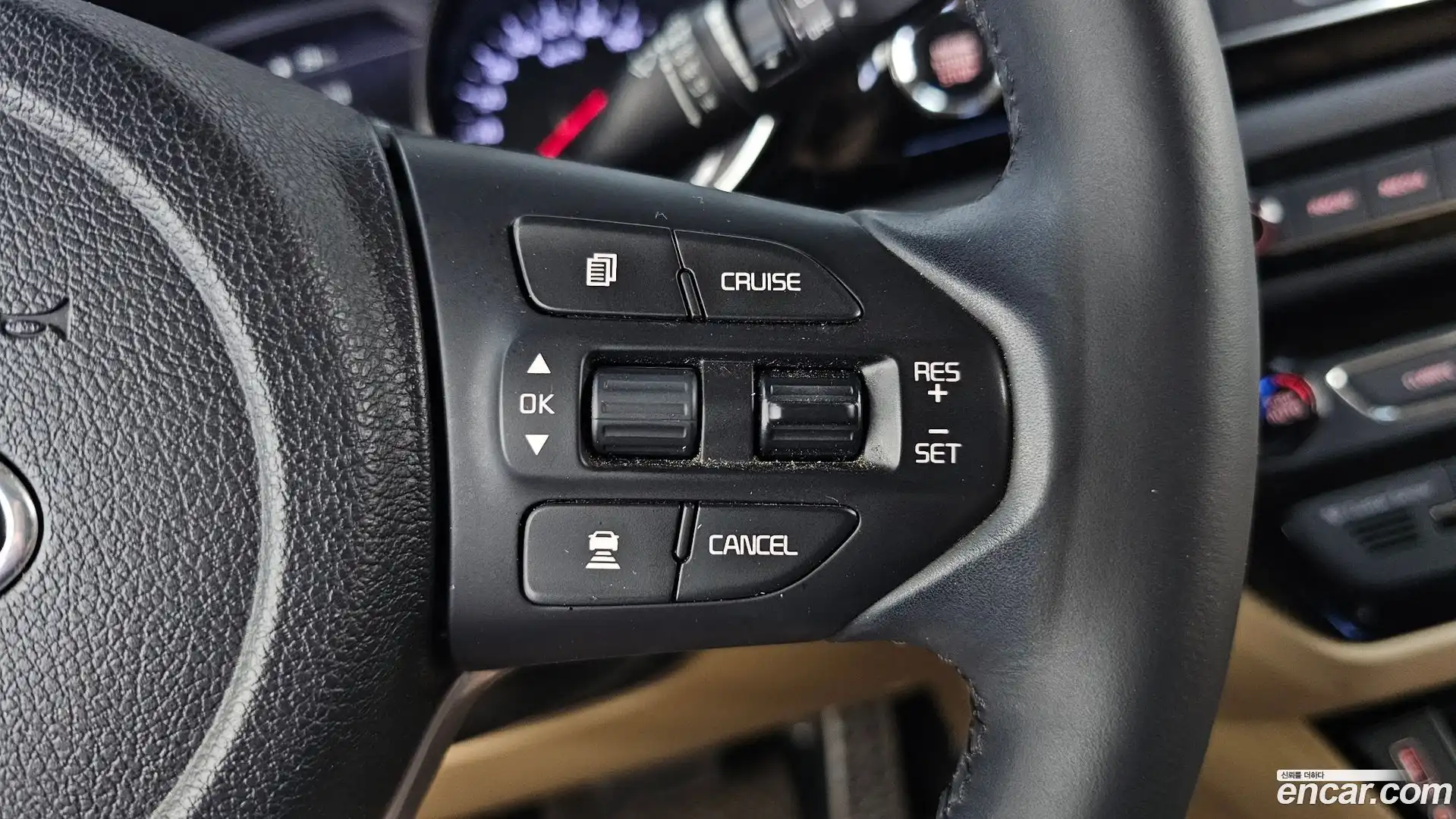 Canival Kia 2018.11-OPTION-022