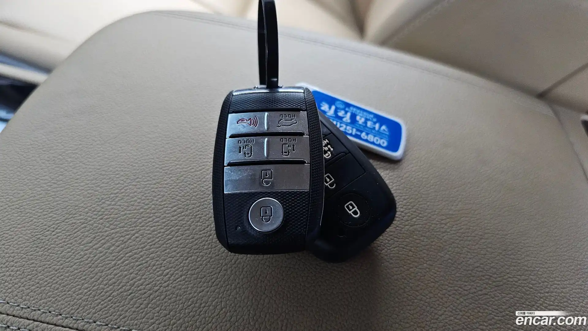 Canival Kia 2018.11-OPTION-045