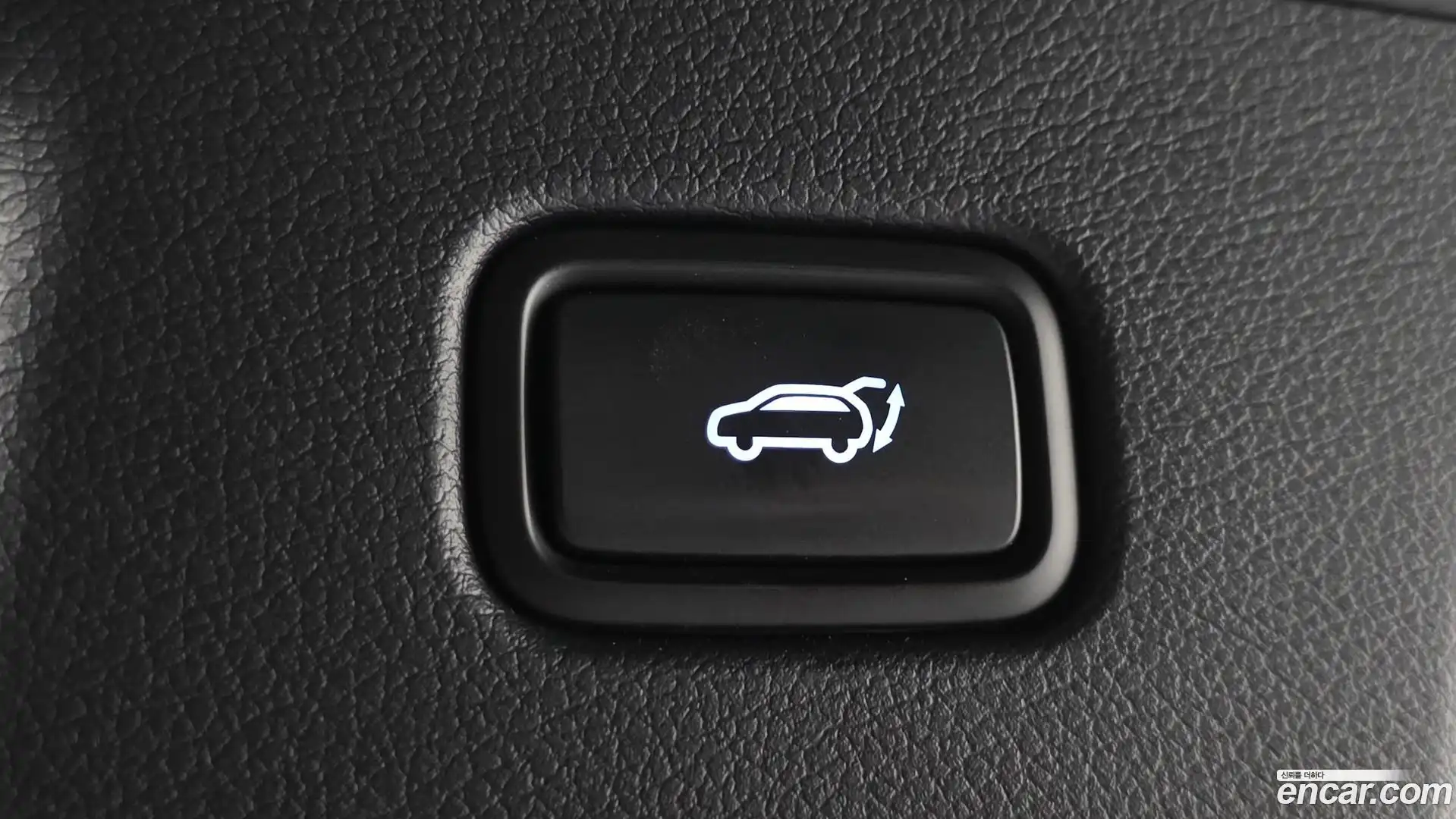 Palisade Hyundai 2024.2-OPTION-023
