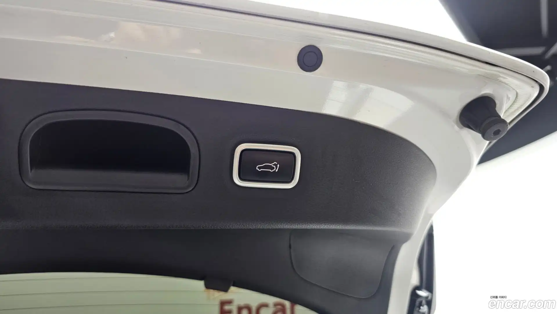 Stinger Kia 2019.8-OPTION-019