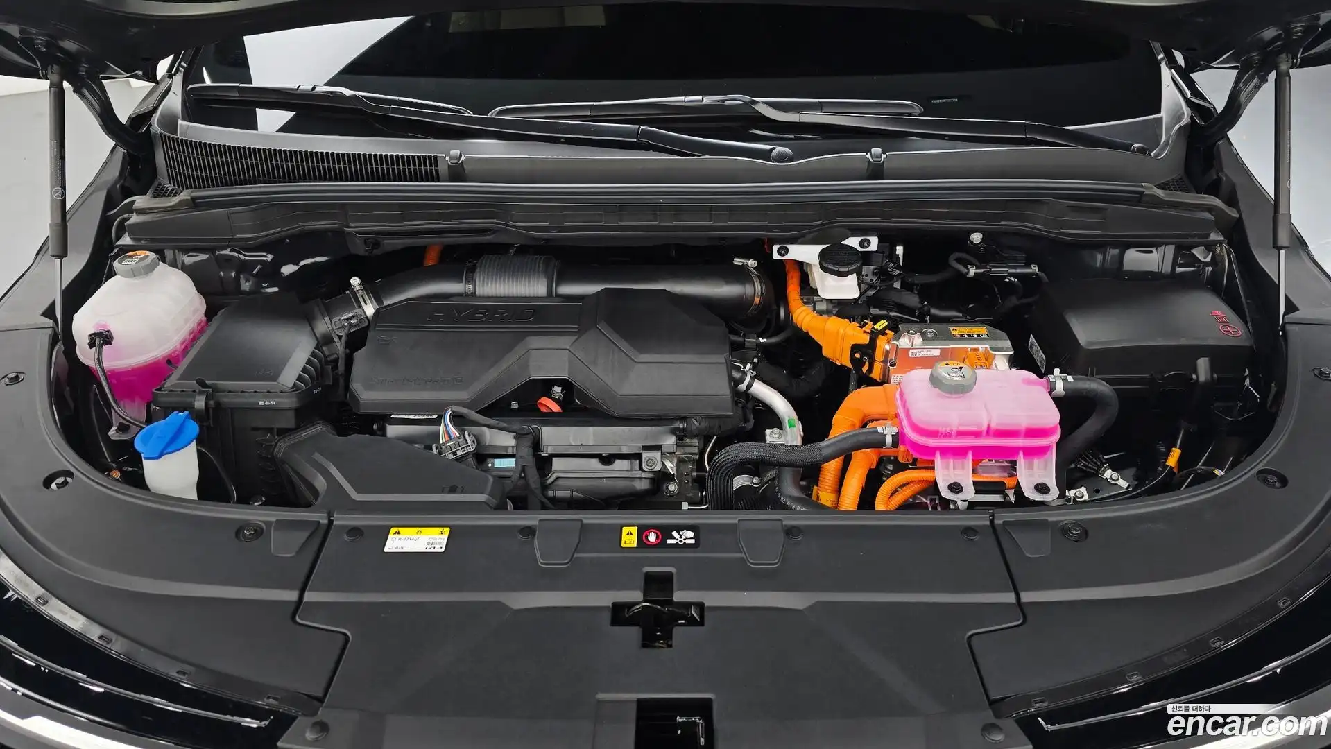 Canival Kia 2025.7-OUTER-006