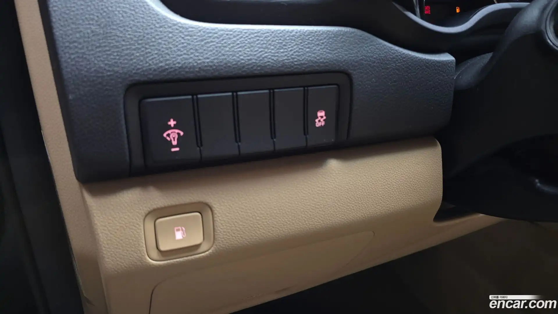 Canival Kia 2019.0-OPTION-041