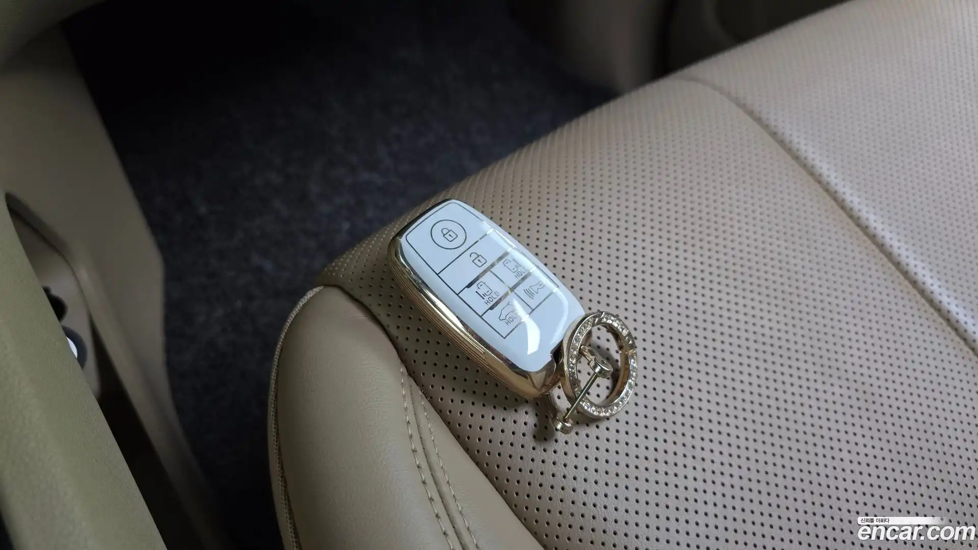 Canival Kia 2019.9-OPTION-021
