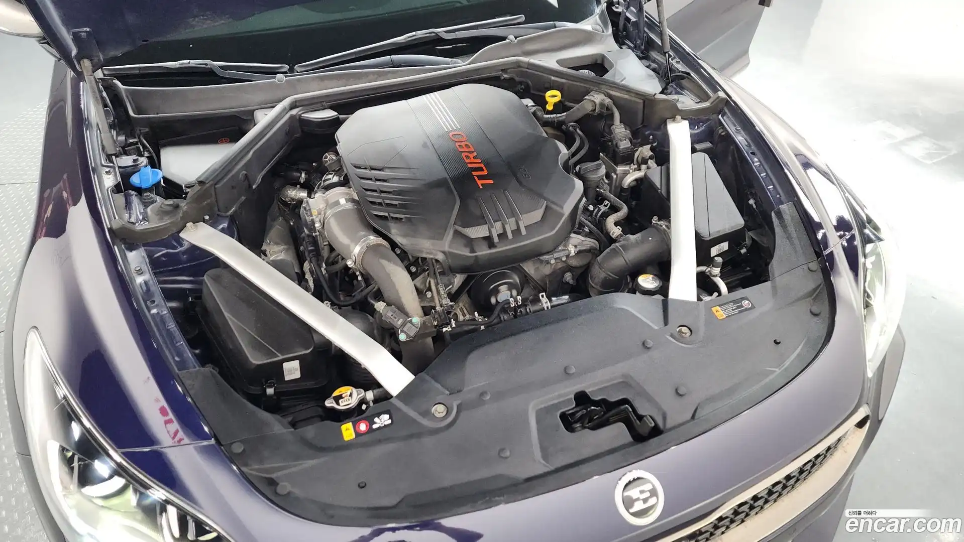 Stinger Kia 2019.10-OUTER-006