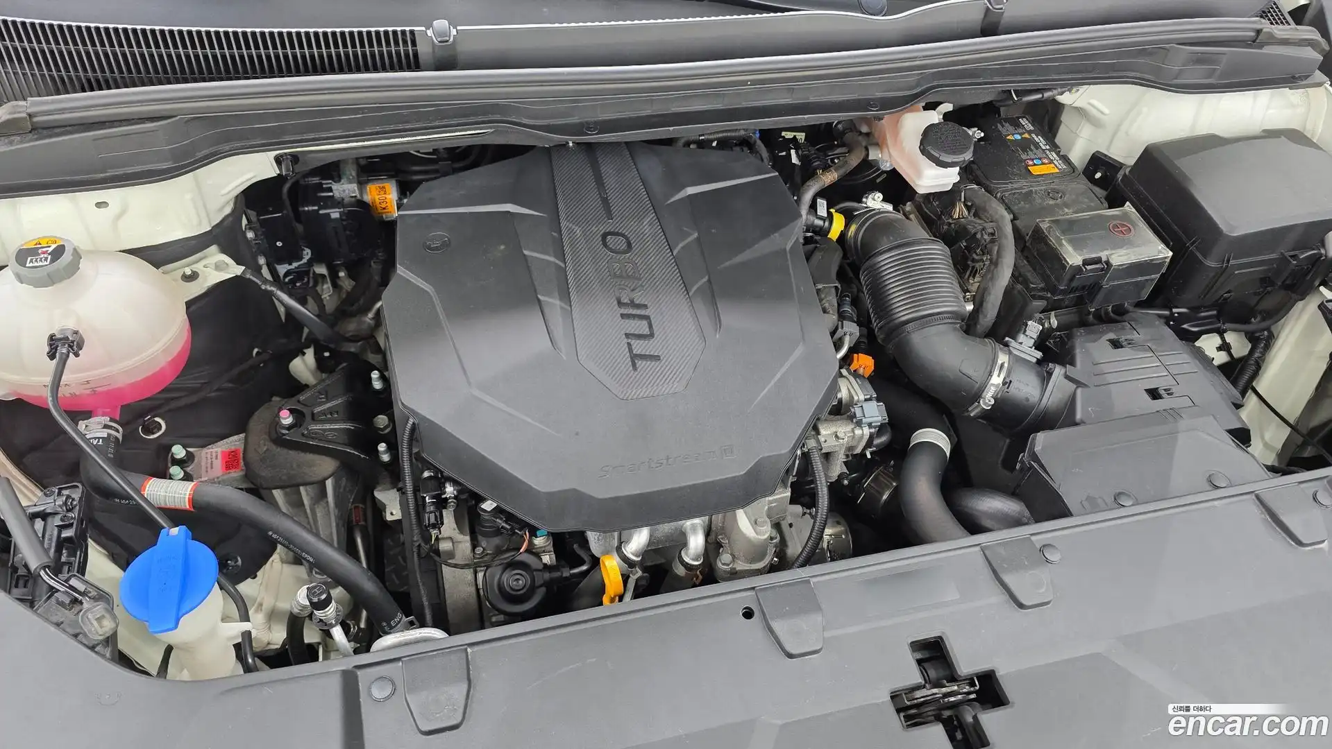 Canival Kia 2021.7-OUTER-006
