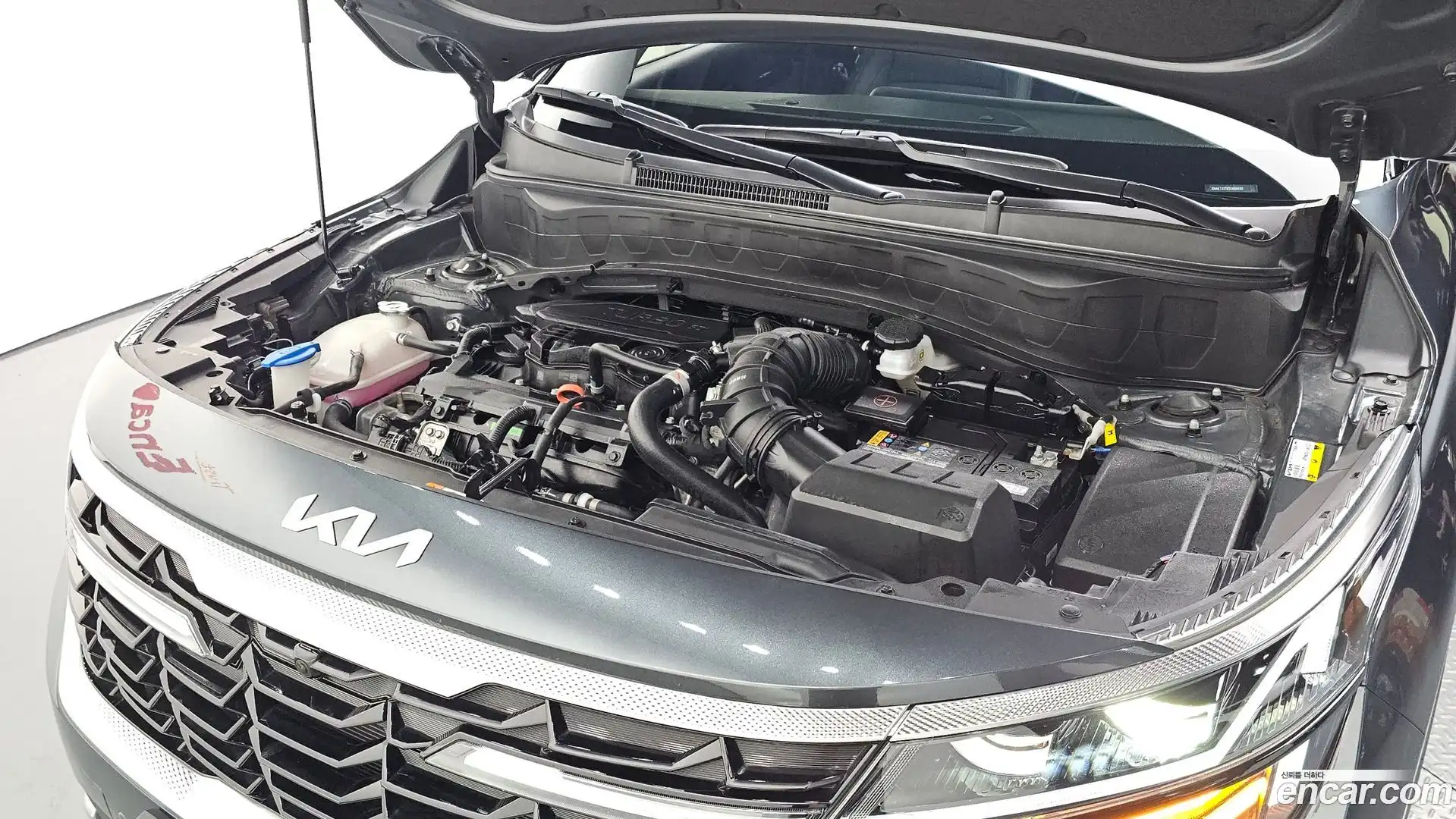 Seltos Kia 2025.8-OUTER-006