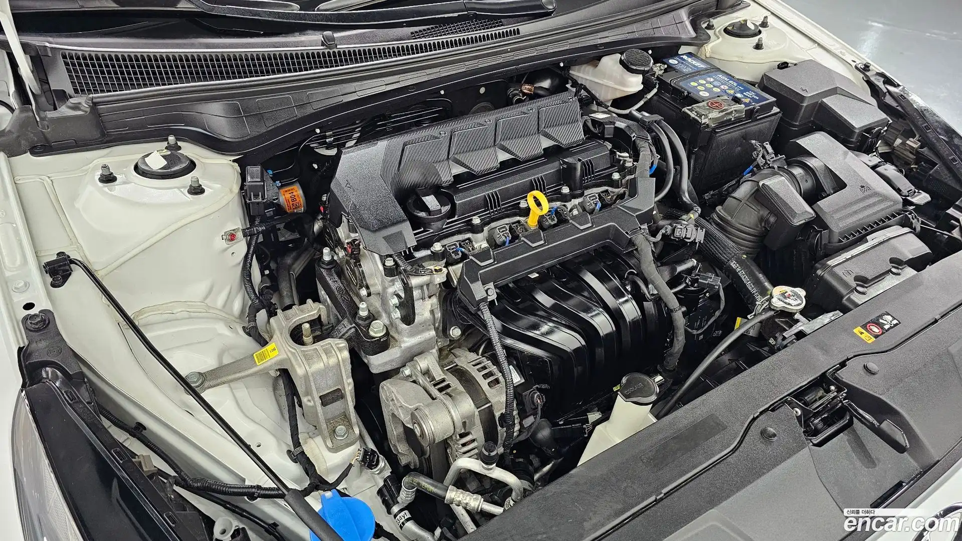 AVANTE Hyundai 2022.6-OUTER-006