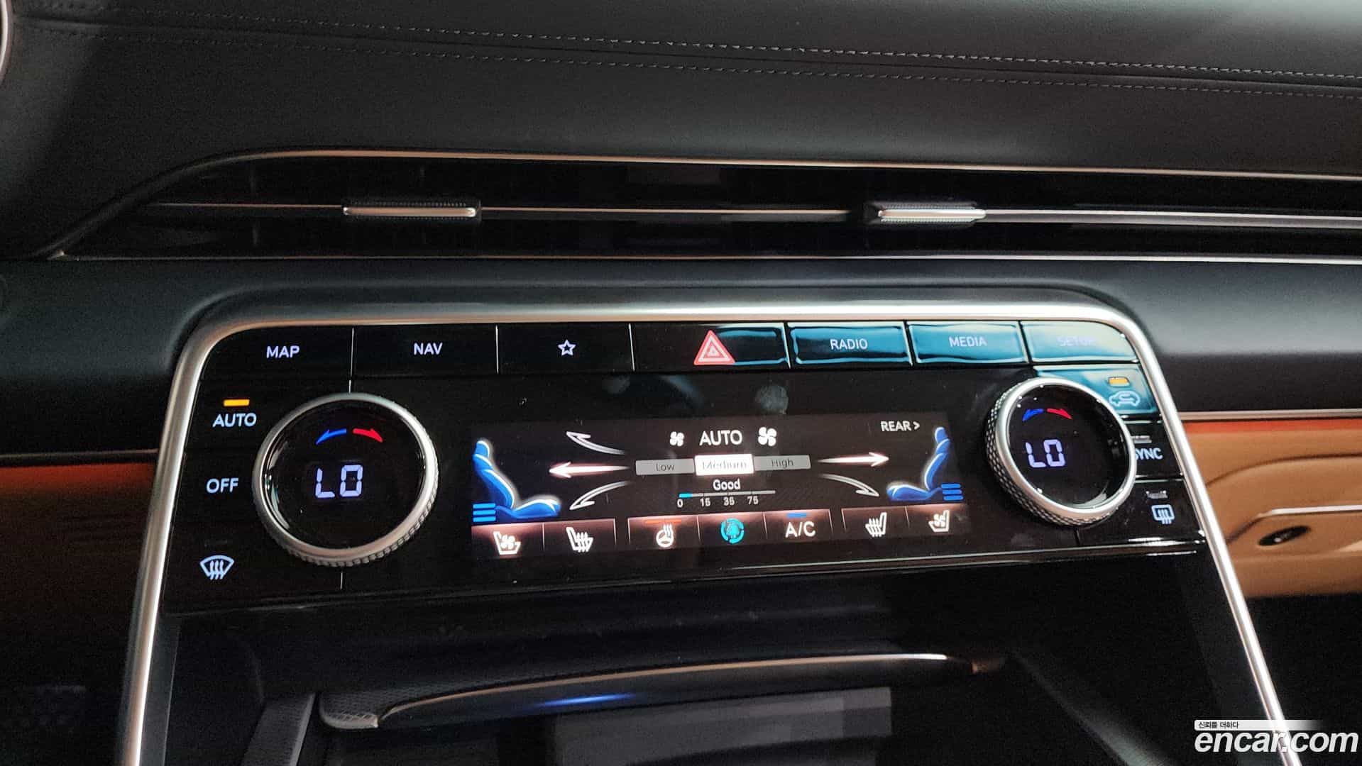 GV80 Genesis 2020.8-OPTION-016