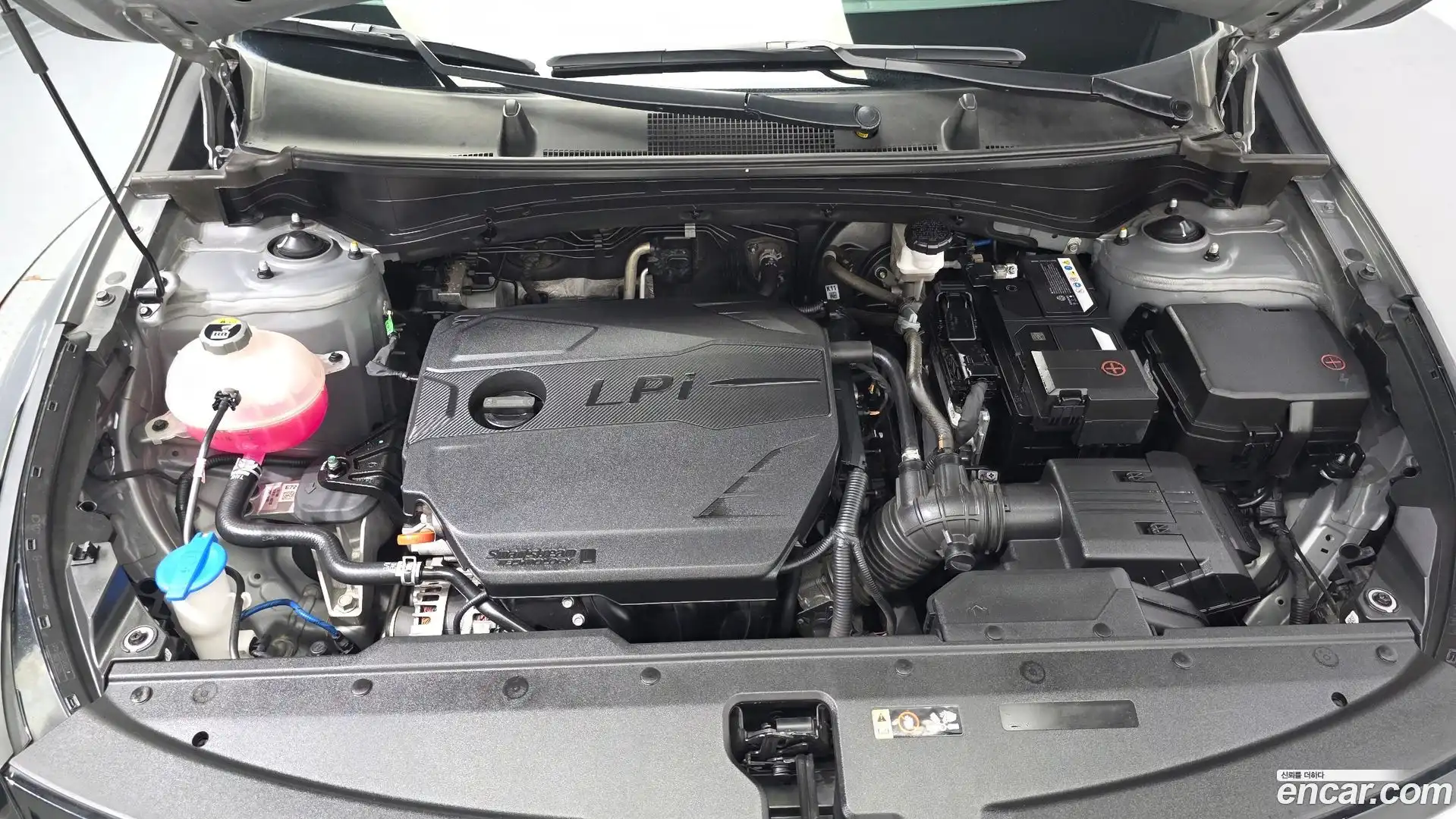 Sportage Kia 2023.8-OUTER-006