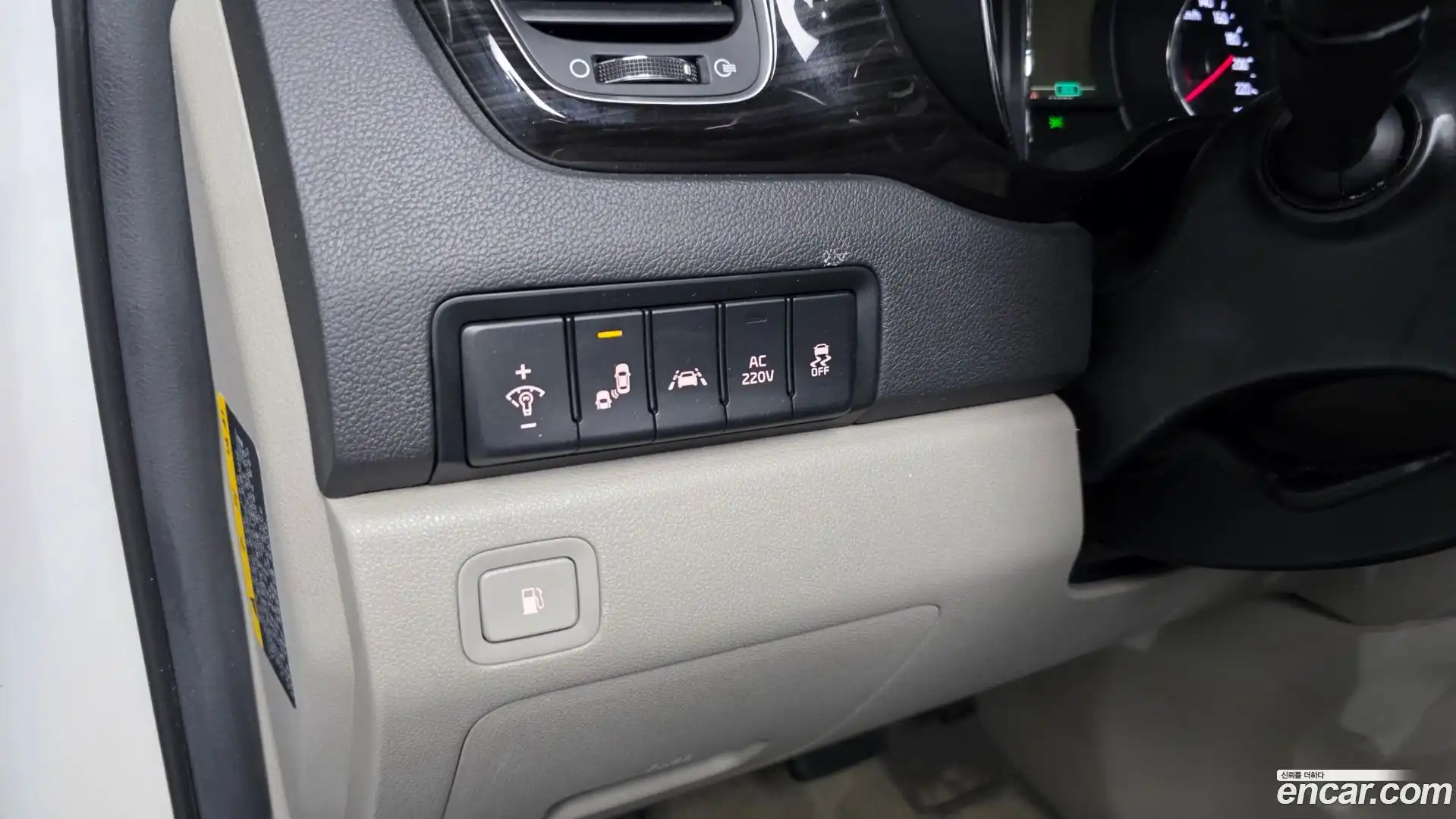 Canival Kia 2018.11-OPTION-021