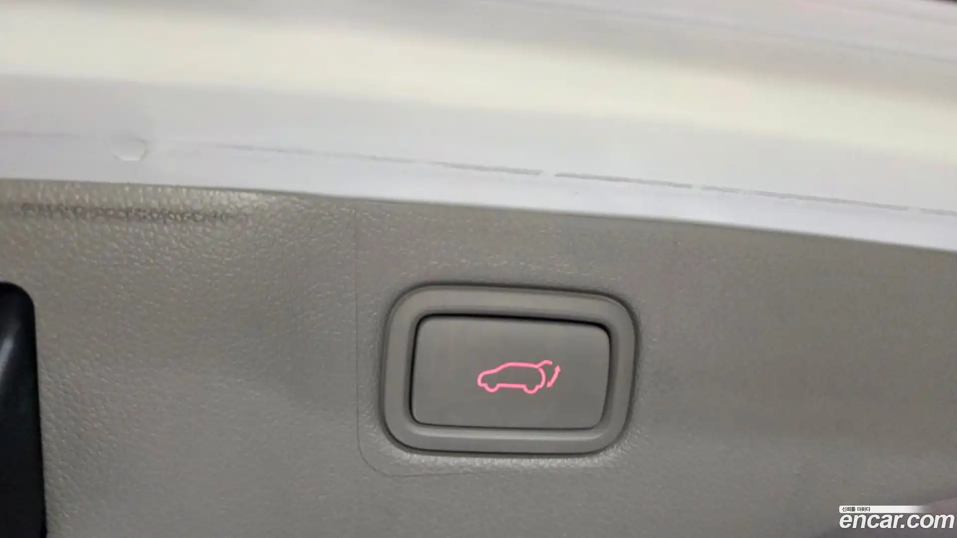 Canival Kia 2018.11-OPTION-041
