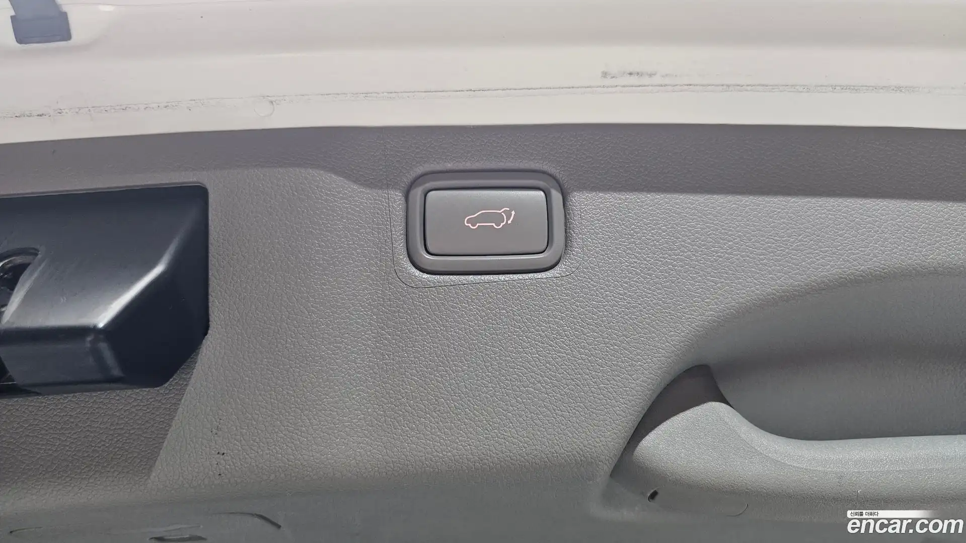 Canival Kia 2018.4-OPTION-047