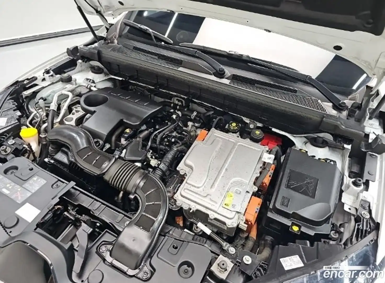 XM3 Renault Korea 2024.0-OUTER-006