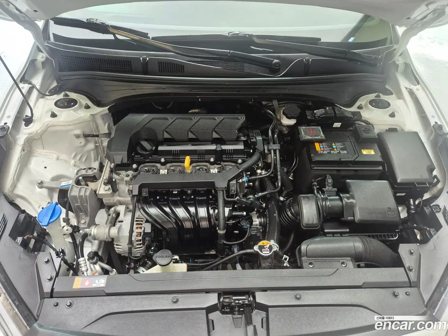 K3 Kia 2021.1-OPTION-023
