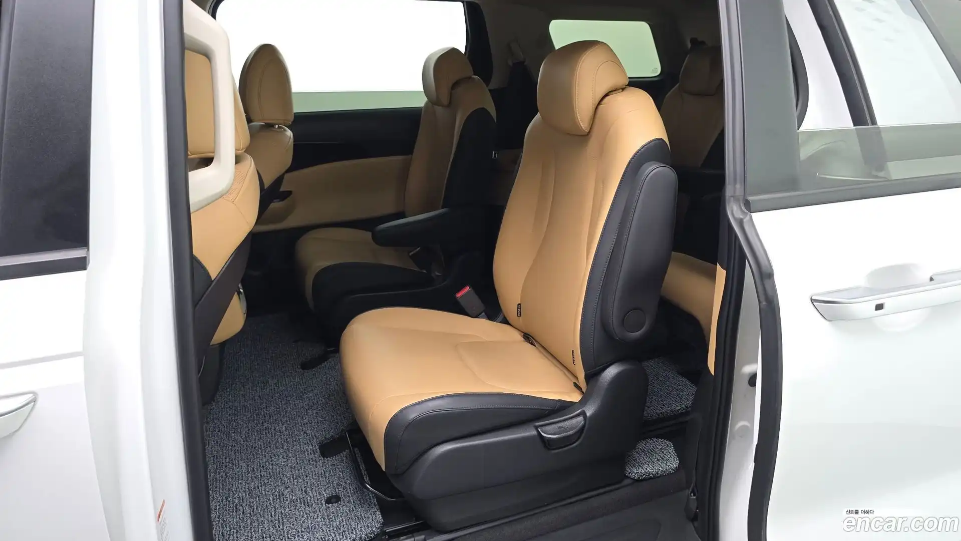 Canival Kia 2022.8-OPTION-015