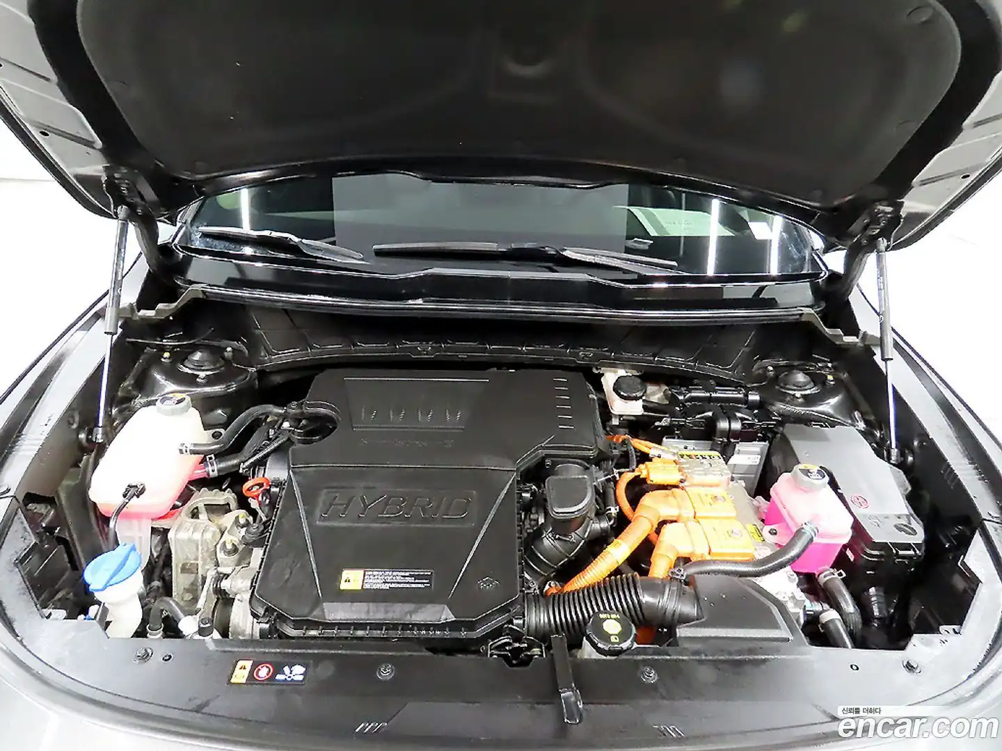 Niro Kia 2022.3-OUTER-006