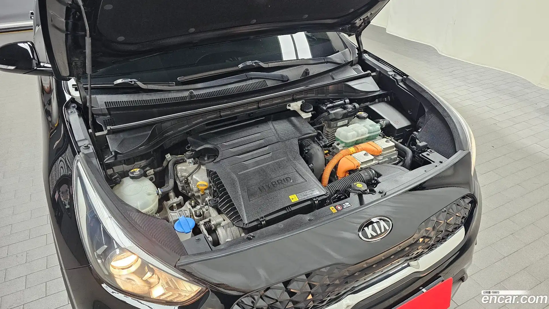 Niro Kia 2019.6-OUTER-006