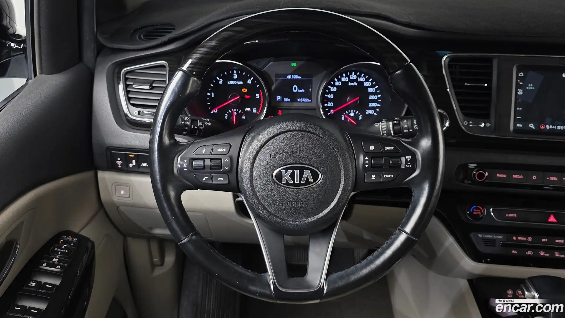 Canival Kia 2019.4-OPTION-017