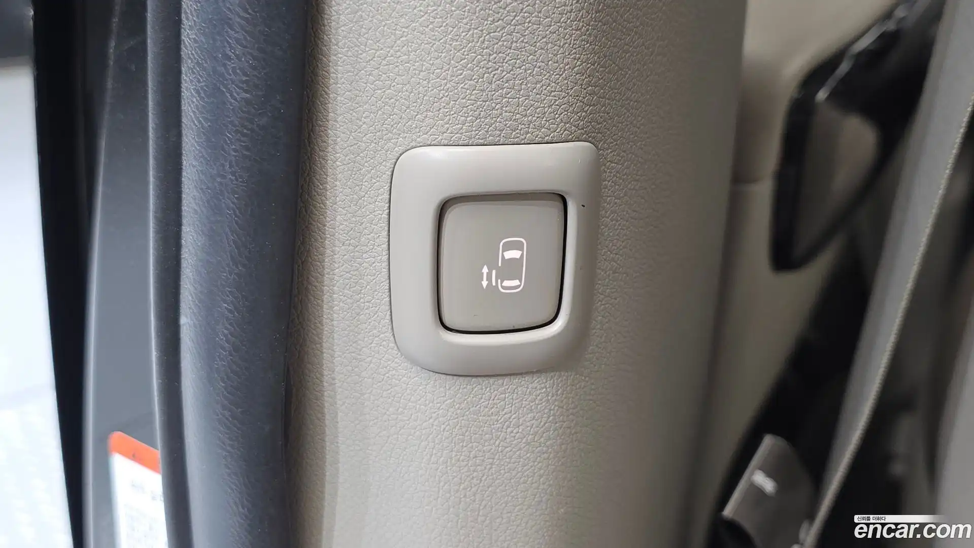 Canival Kia 2019.4-OPTION-019