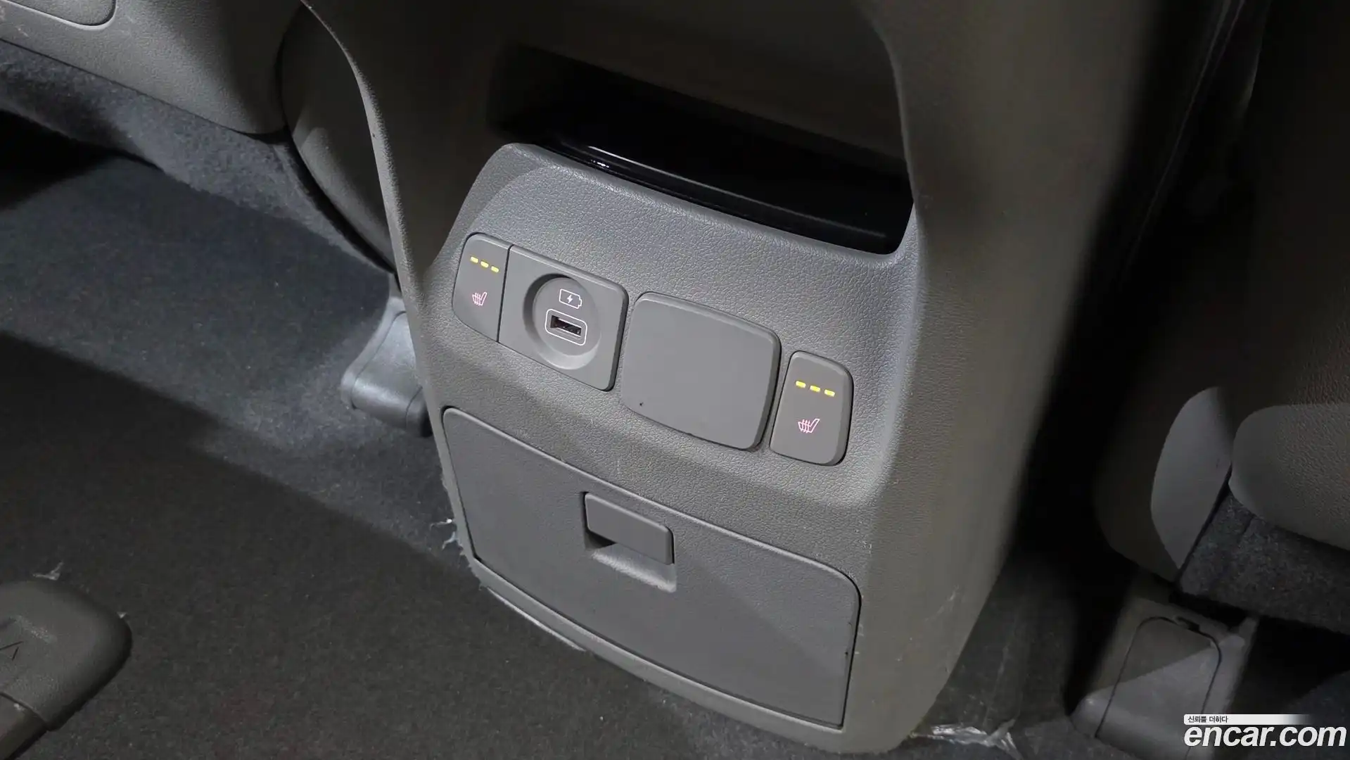 Canival Kia 2019.4-OPTION-020